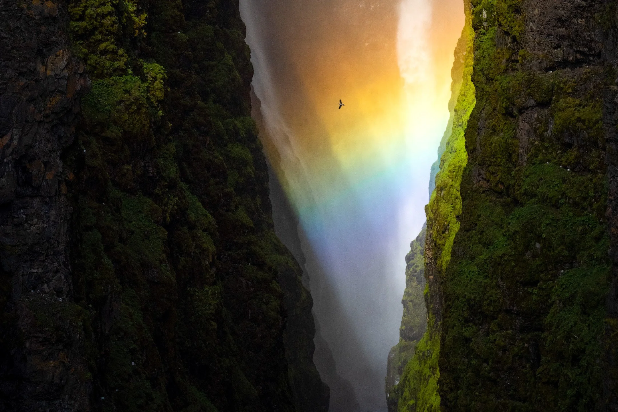 Bagshaw9X6A6241-EditLight Intro.jpg