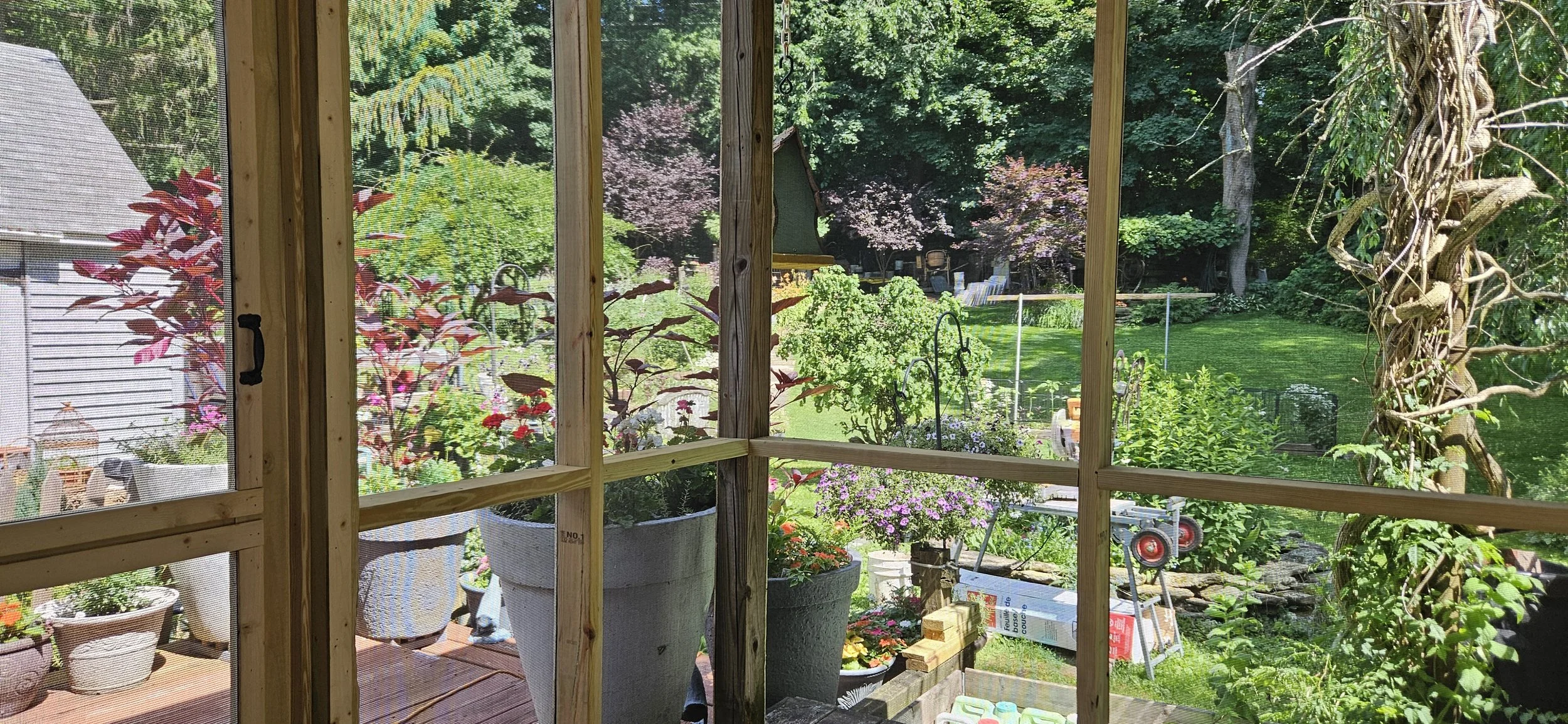 A bug-free view of the beautiful garden.