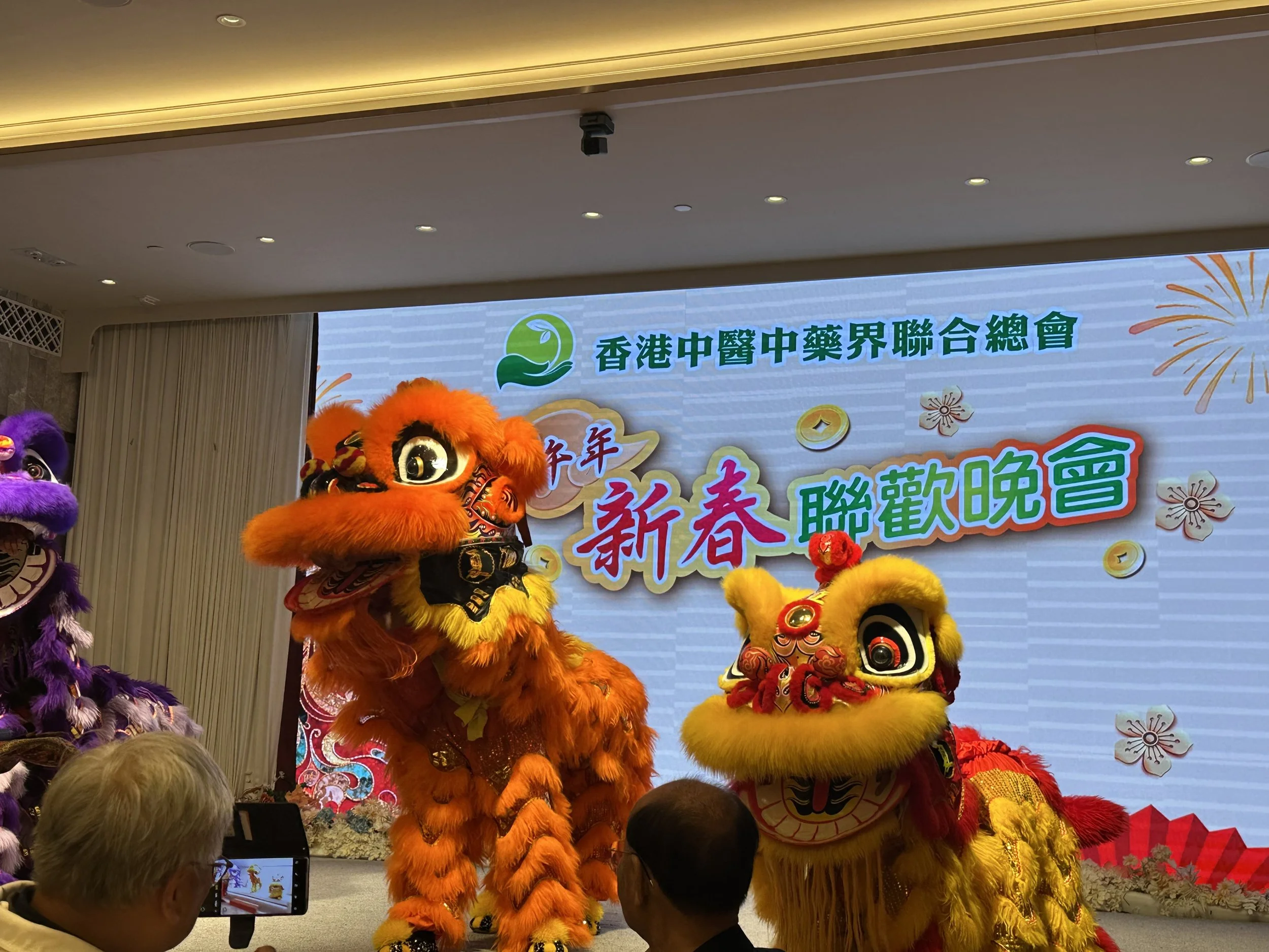 舞龍舞獅表演