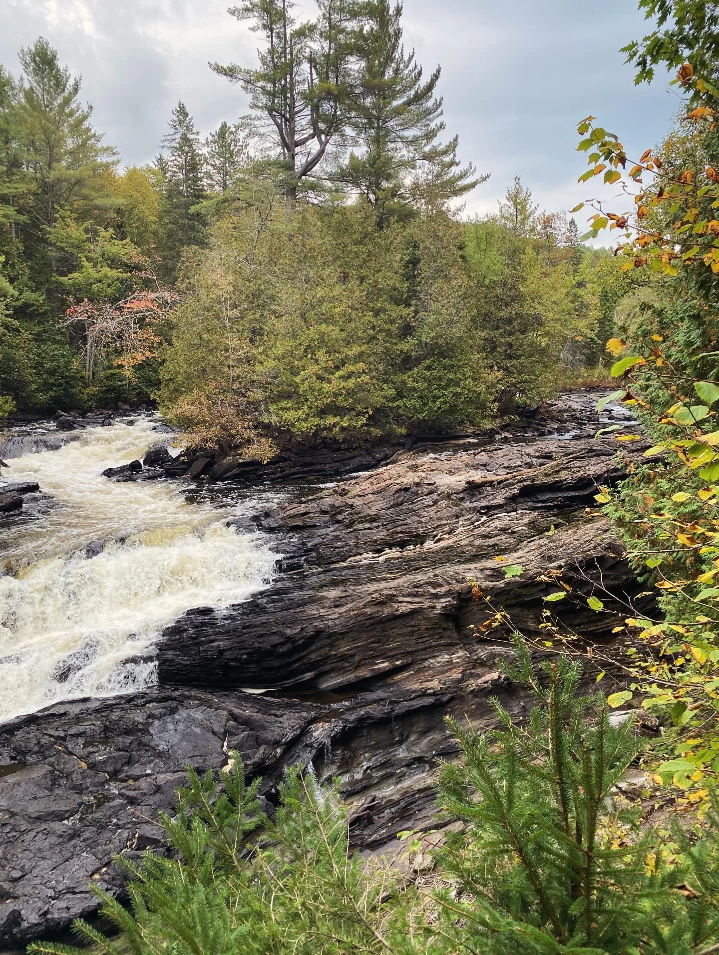 📍 Egan Chutes Provincial Park - A short 10 minute drive to explore a magical trail. Leads to a very special moment 🌳🌳🏊&zwj;♂️🚣&zwj;♀️