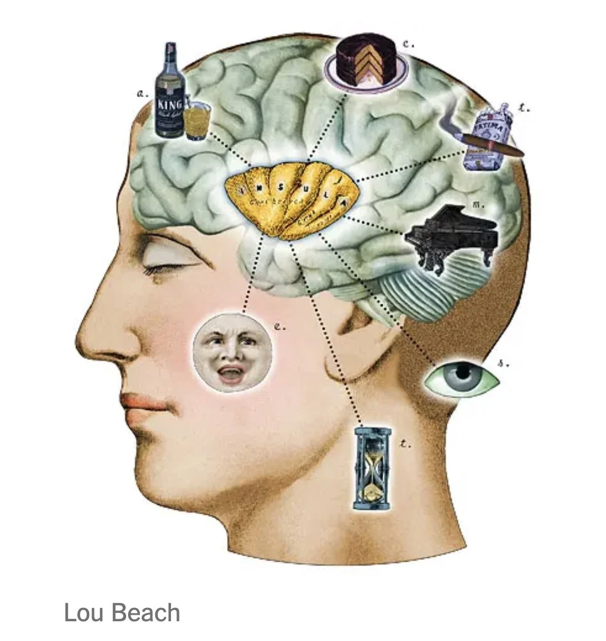 volunteering: the brain gym you forgot