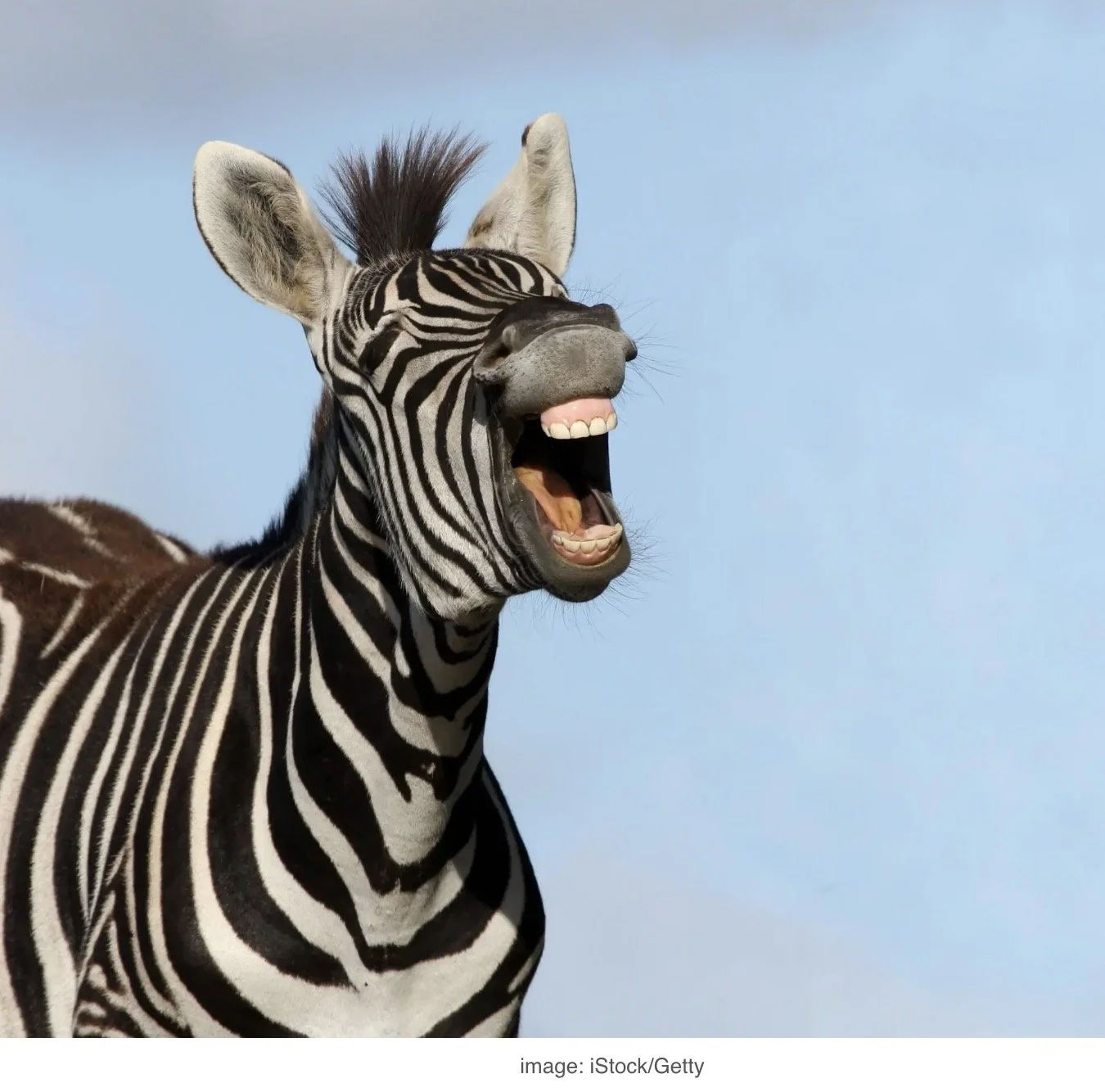 laughing all the way