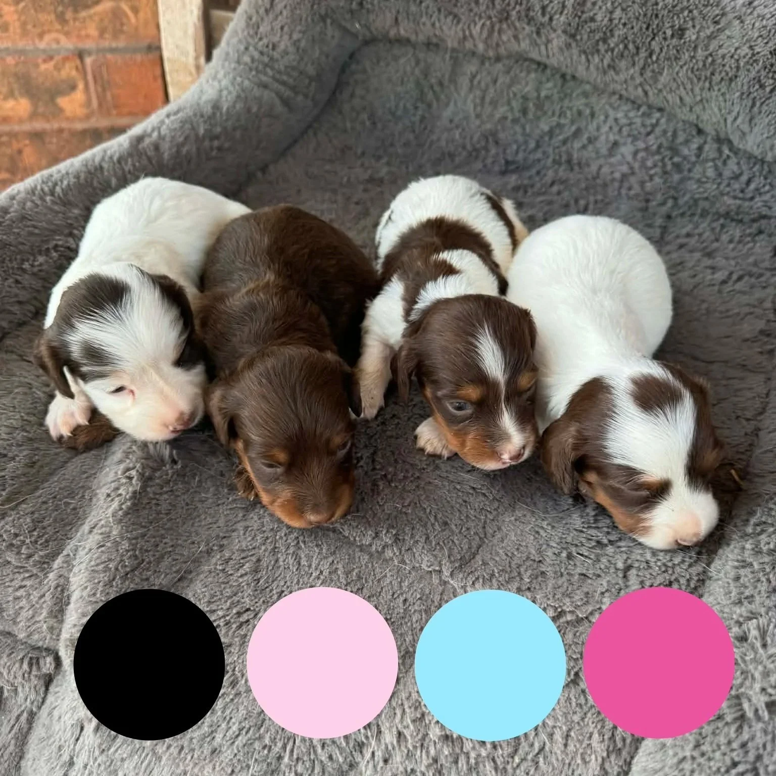 $2,500 - $2,700 (2 Available)