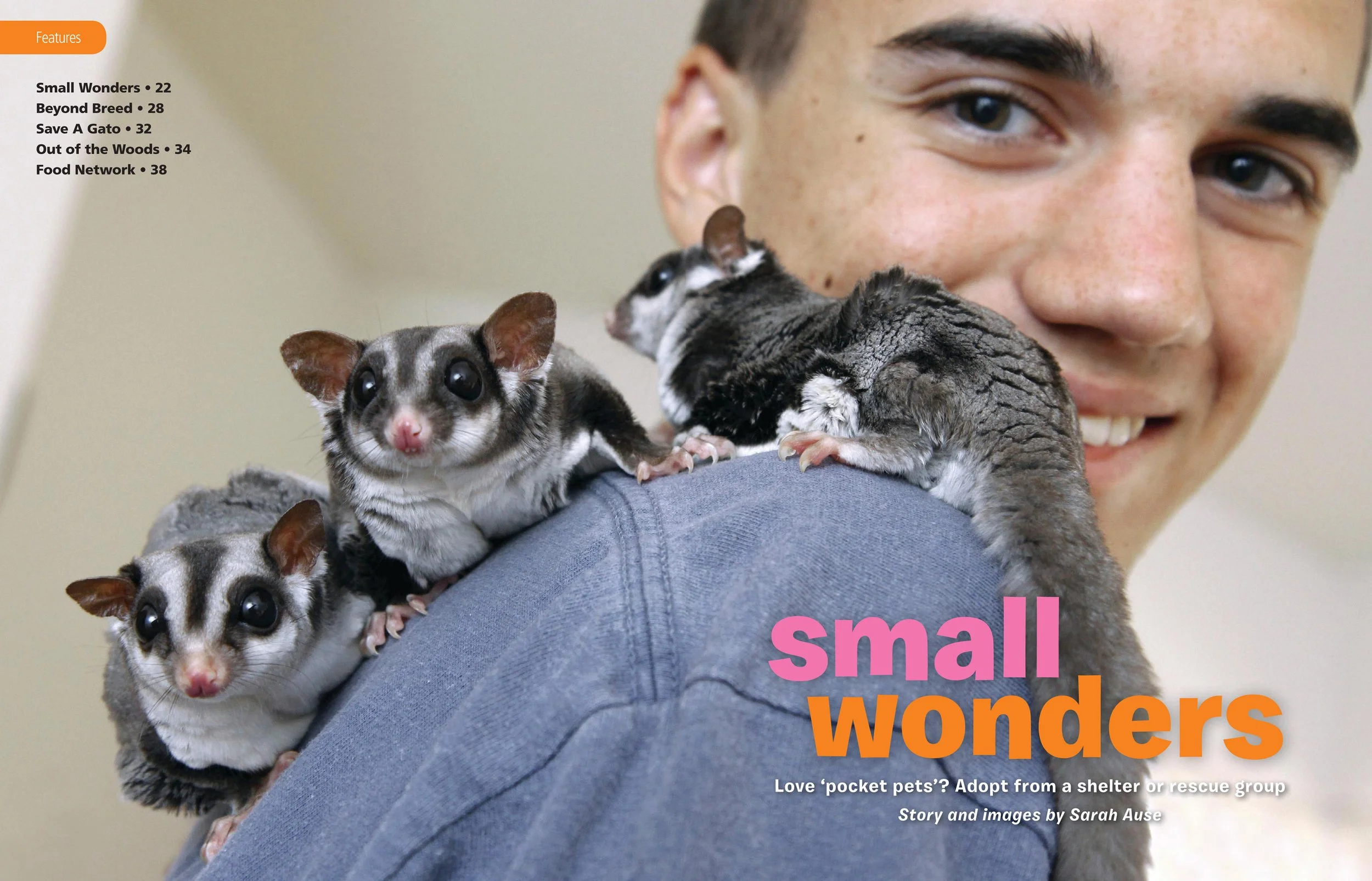 BFM_March2011_1_small-wonders copy.jpg