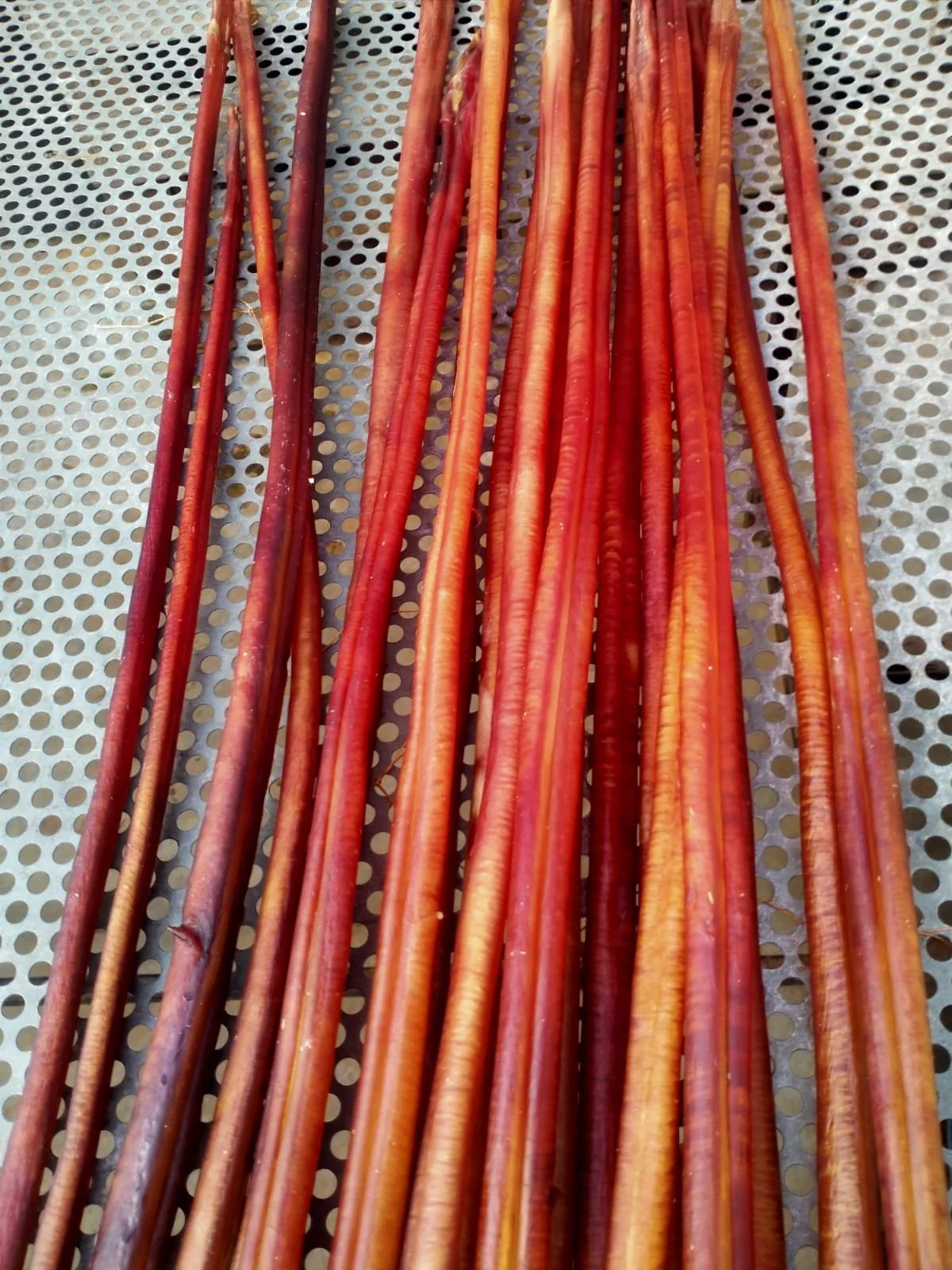 Bully Sticks 12 Inch.jpg