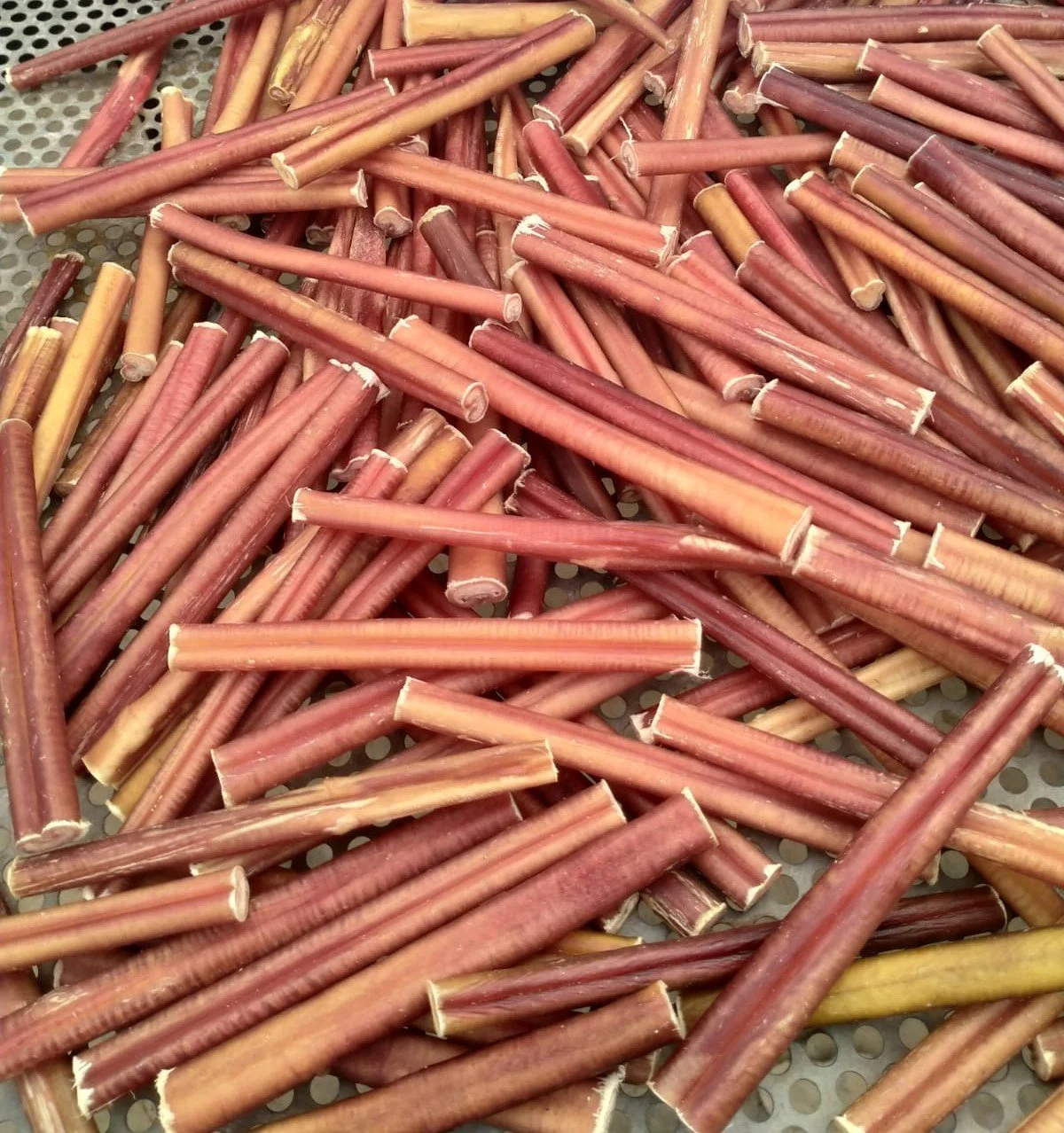 6Inch Bully Sticks.jpg