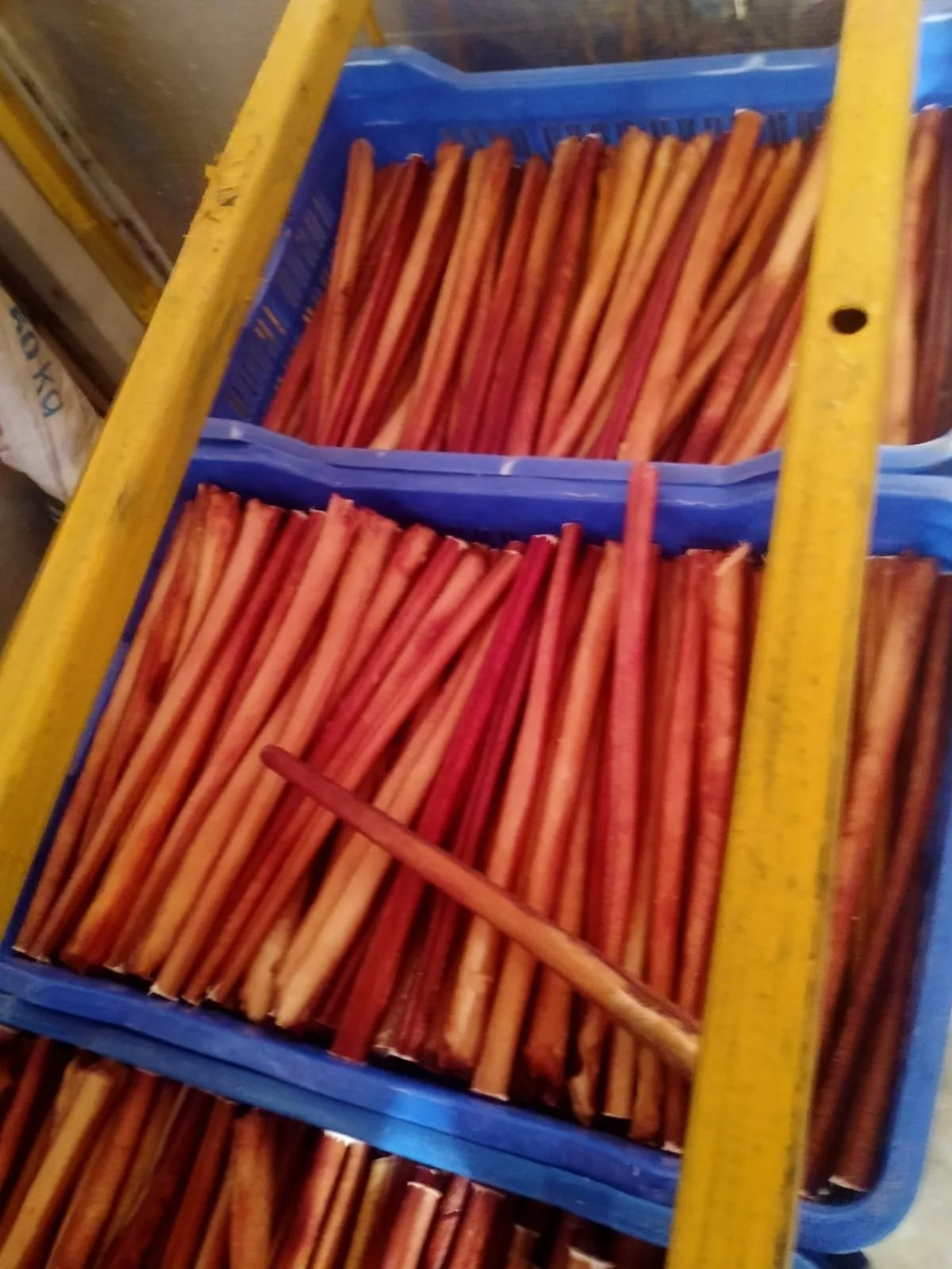 12Inch Bully Sticks.jpg