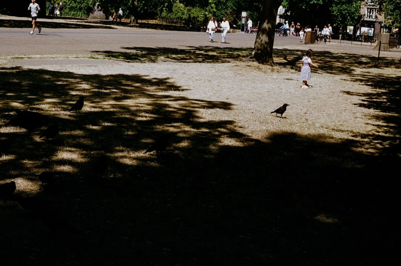 000163810019-2 Large.jpeg