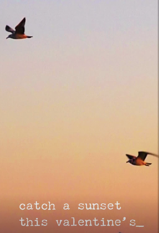 Screenshot 2026-09-24 at 12.33.21 AM.png