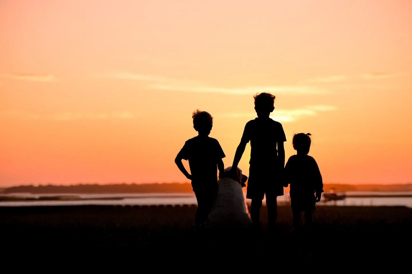 There&rsquo;s just something about a silhouette portrait. 
Even without faces, they tell everything&mdash;love, connection, and a moment that somehow feels timeless.
It&rsquo;s not just a photograph&mdash;it&rsquo;s a story frozen in golden light.

A