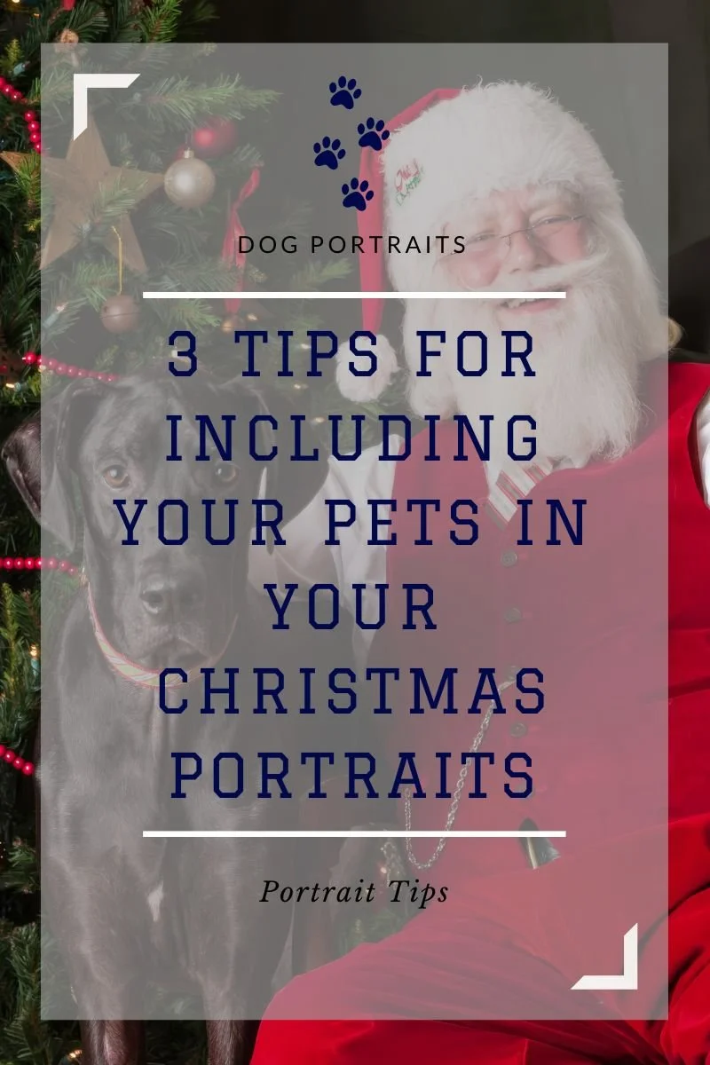 3 Tips for Including Your Dog in Holiday Portraits This Year