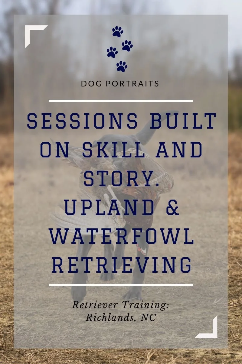 The Art of Working Dogs