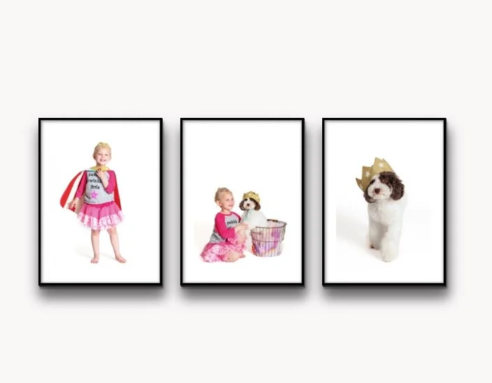 Three framed photos on a wall. First photo: a child in a superhero outfit. Second photo: a child with a dog wearing a crown. Third photo: a dog with a paper crown, looking forward.