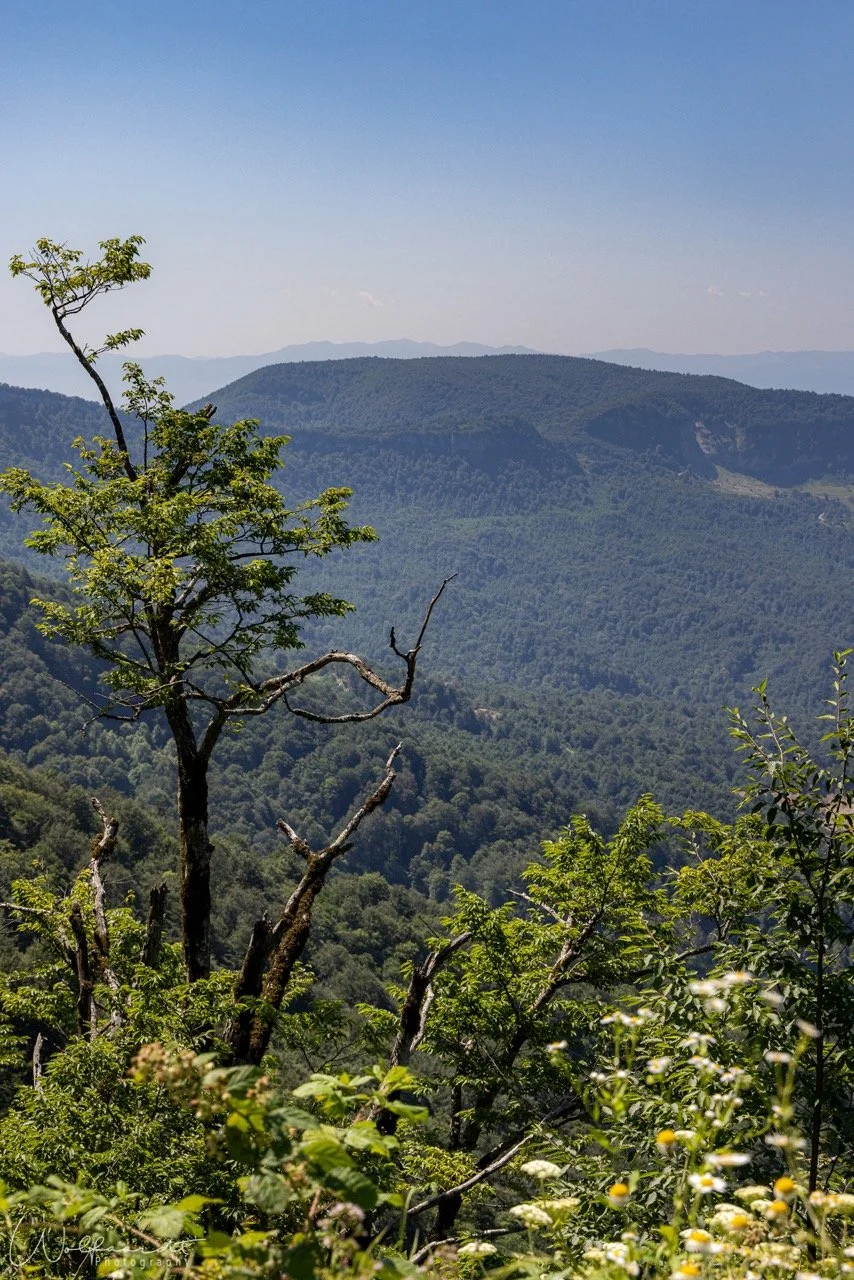 Georgia %22look%228 Large.jpeg