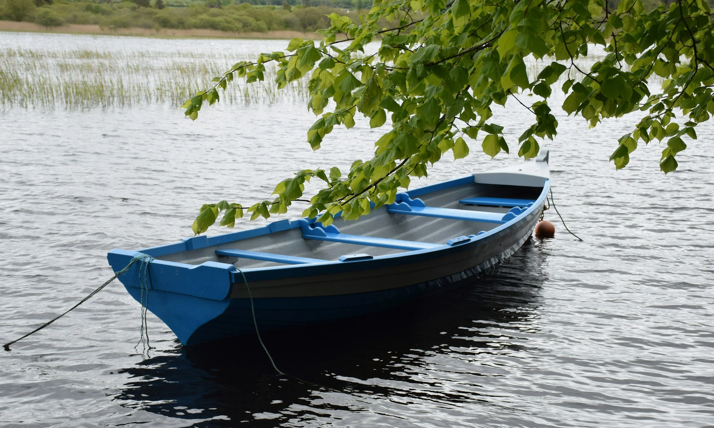 rowing boat on river