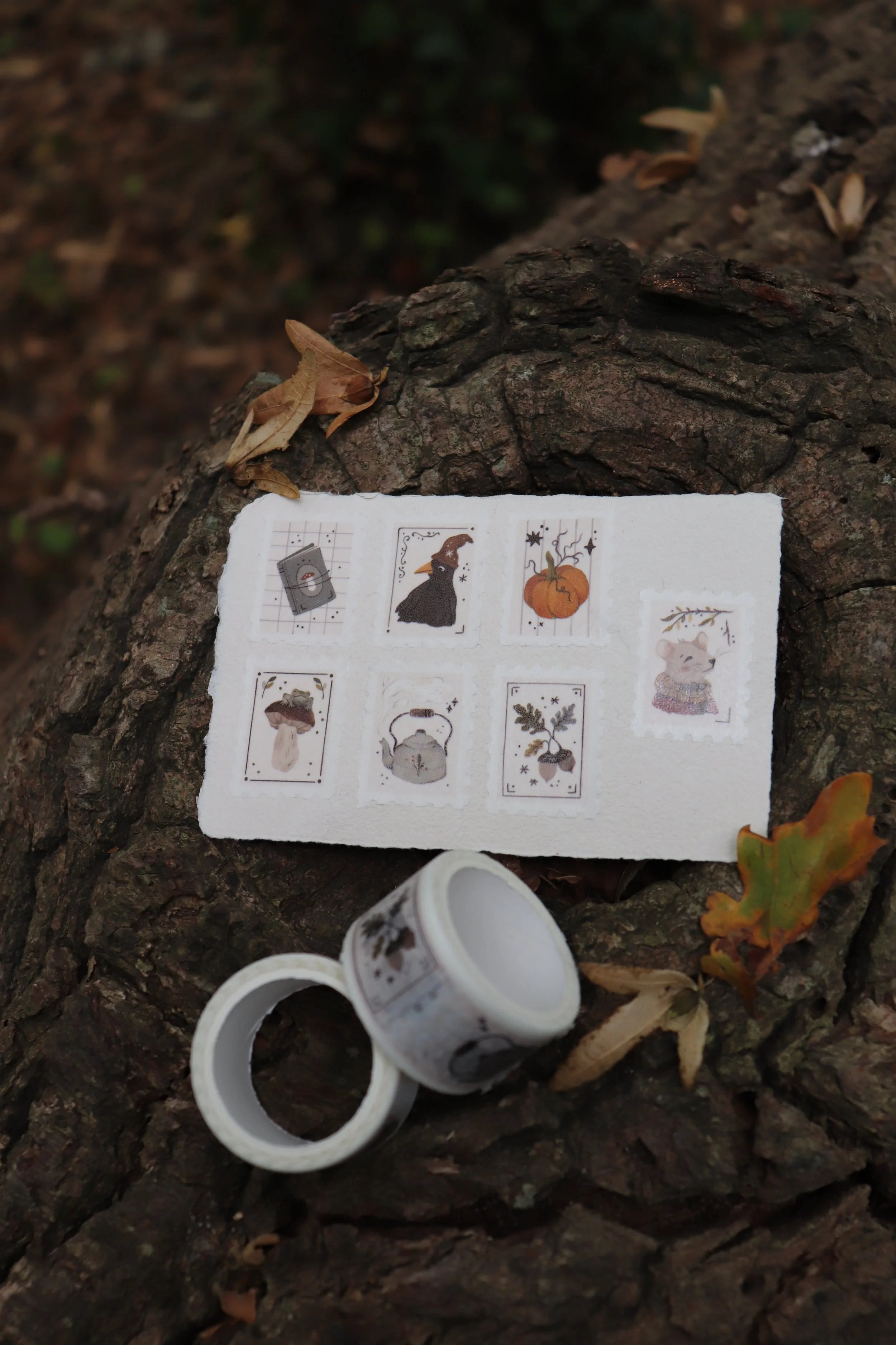 Masking Tape d'Automne