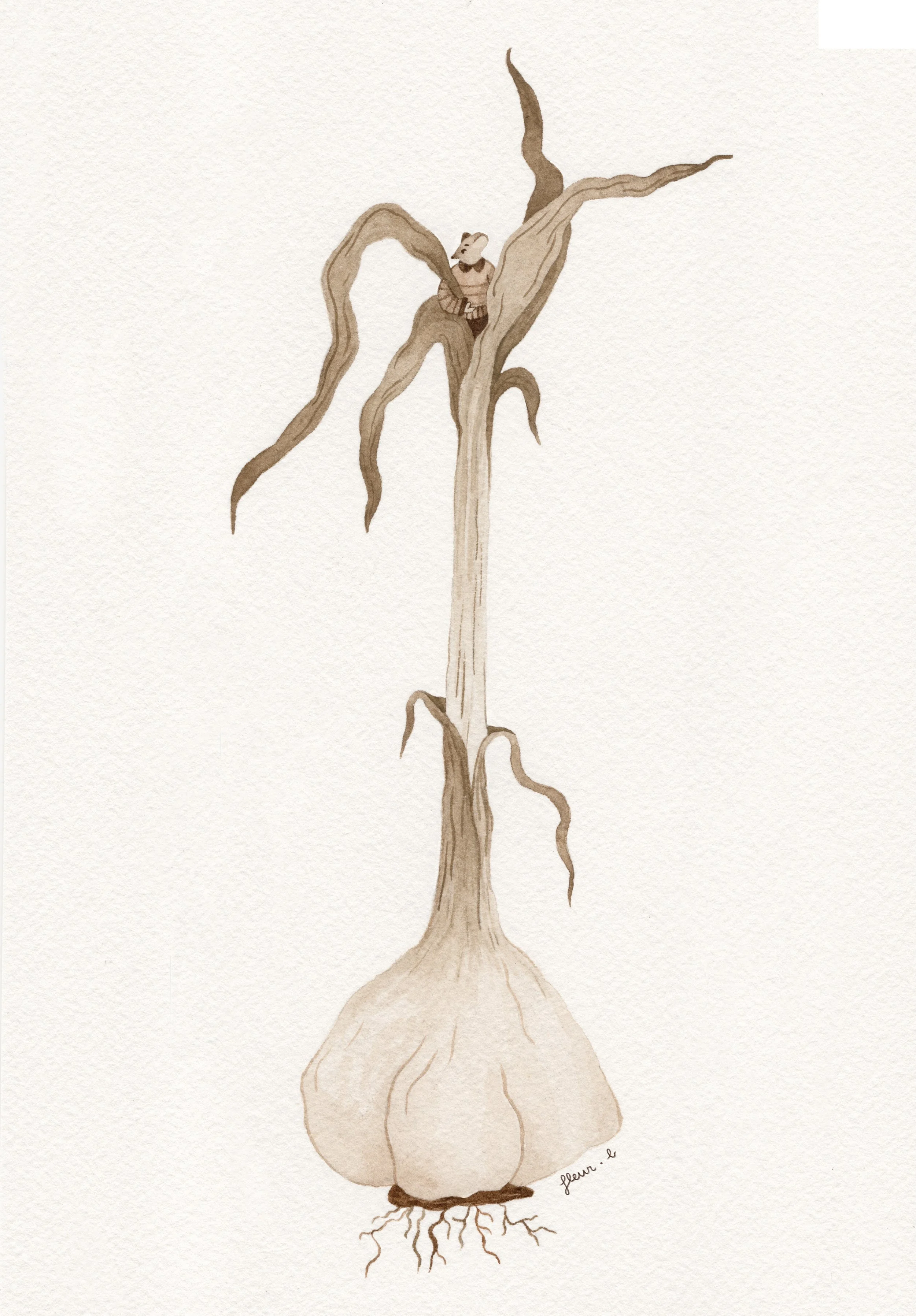 L'ail ( originale )