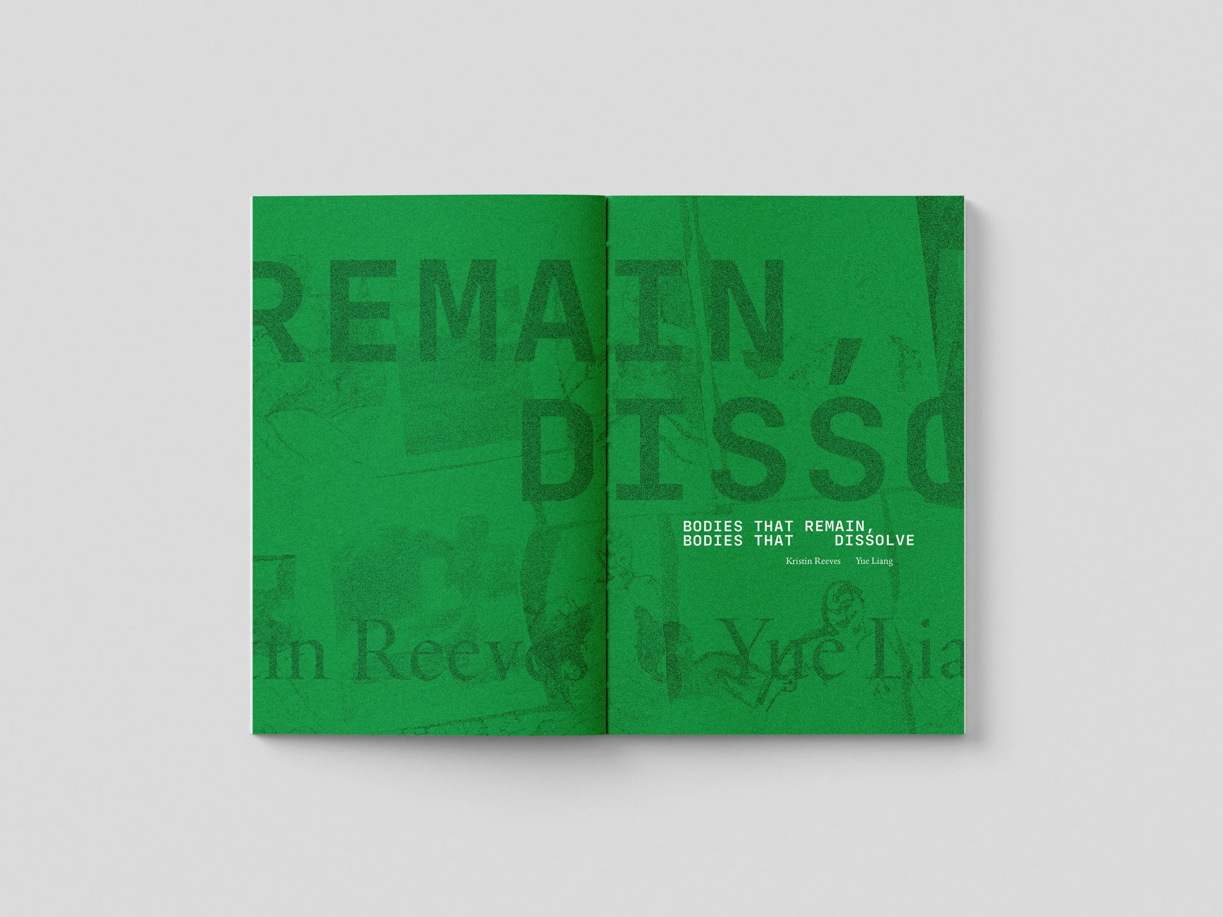 Free_Book_Mockup_7 copy 2.jpg