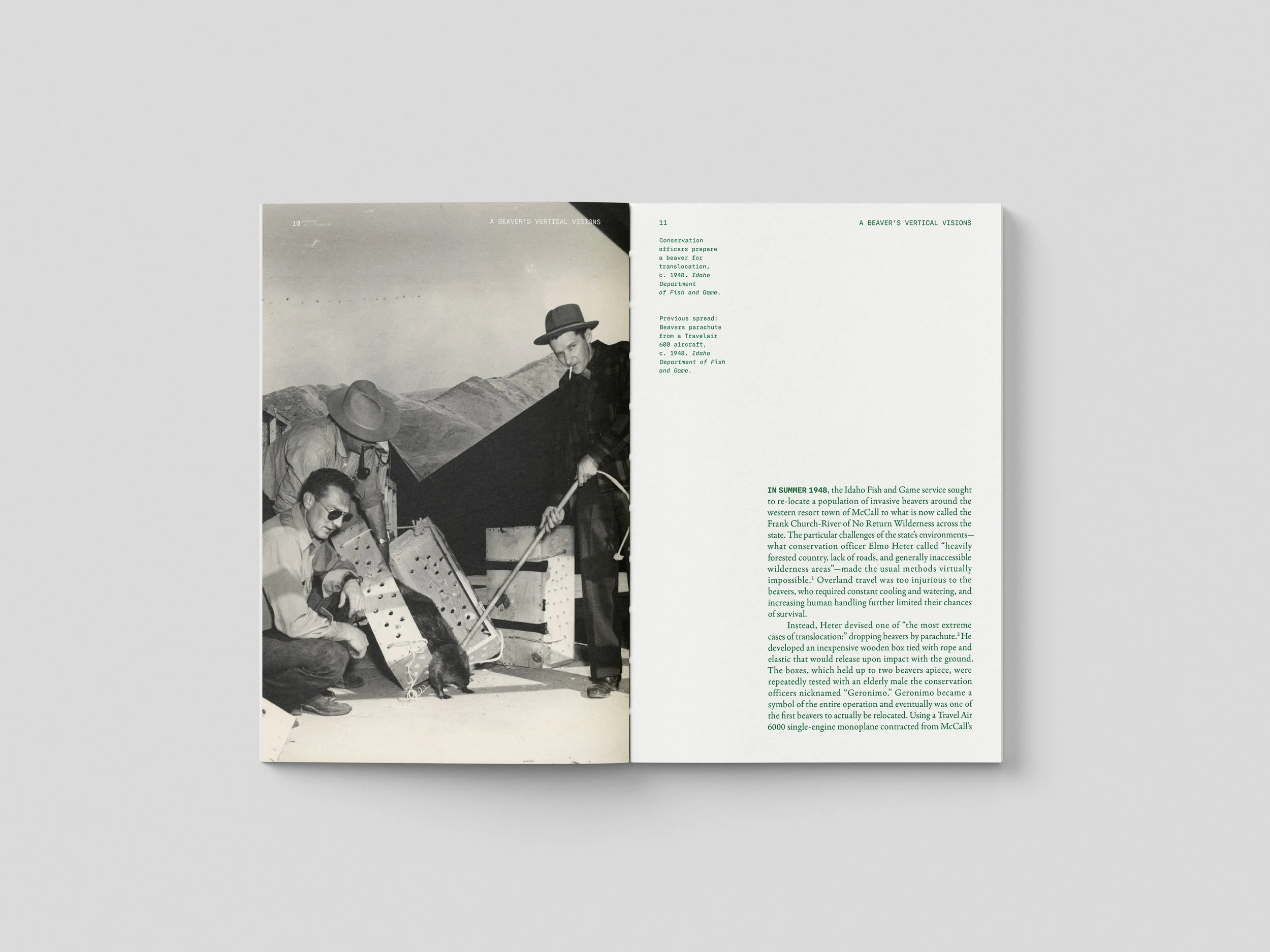 Free_Book_Mockup_7 copy 11.jpg