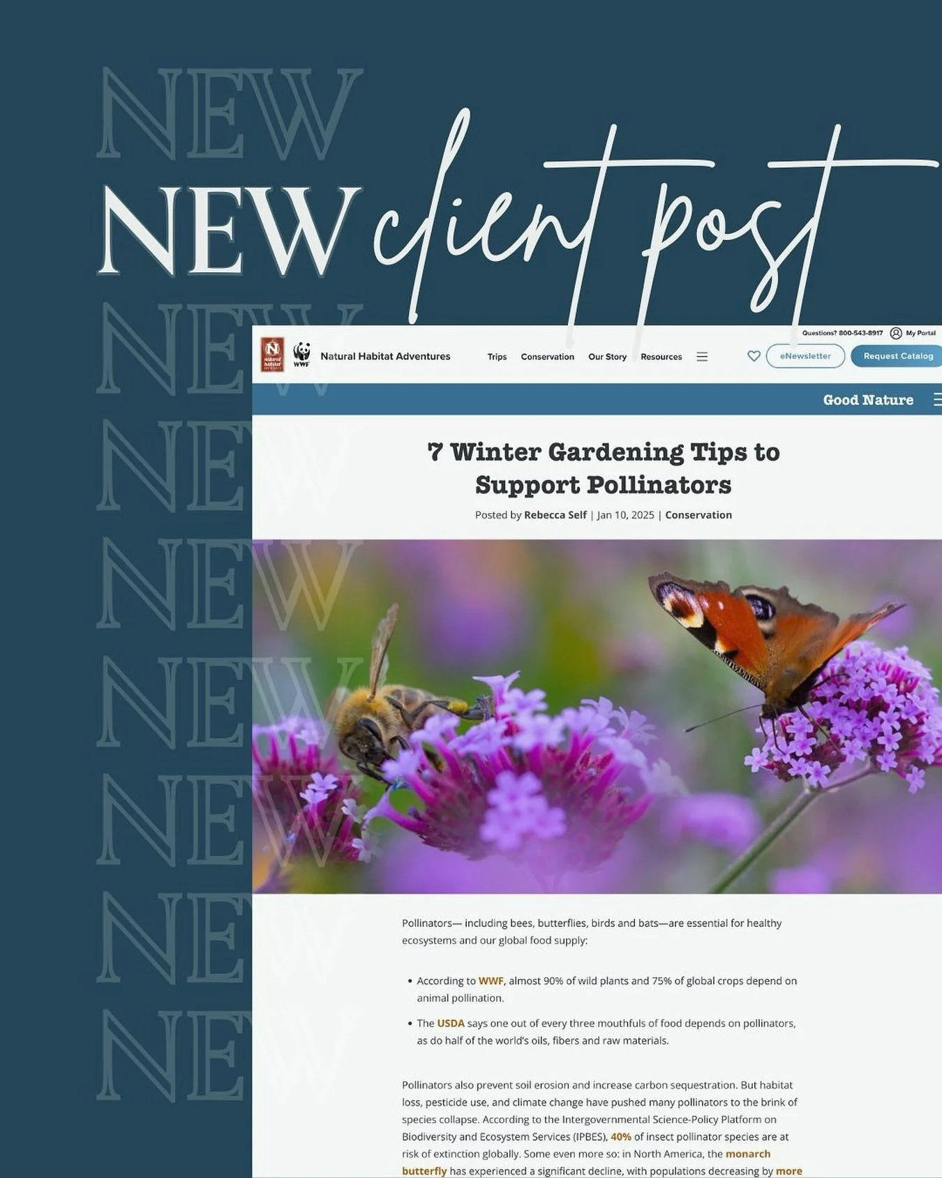 🌟 New Client Post! 🌟 Check out the new post up over at Natural Habitat Adventures! 🐝🌱 For this article, &ldquo;7 Winter Gardening Tips to Support Pollinators&rdquo;, we spoke with regenerative landscape expert and long-time friend Leigh Adams abo