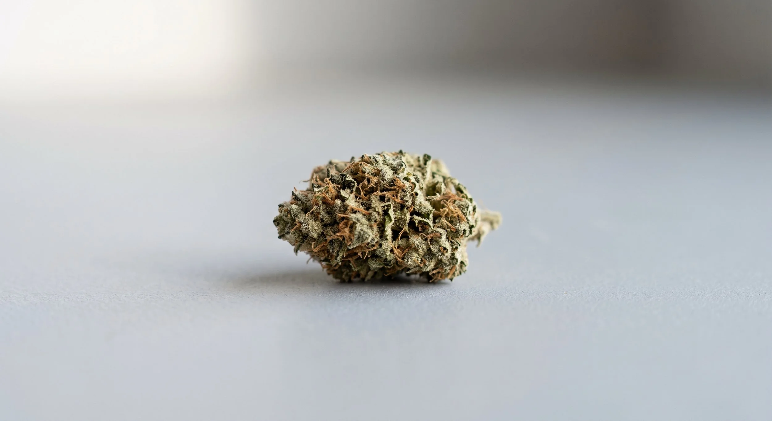 Lex kratom prošel vládou. Kromě kratomu míří i na CBD a technické konopí