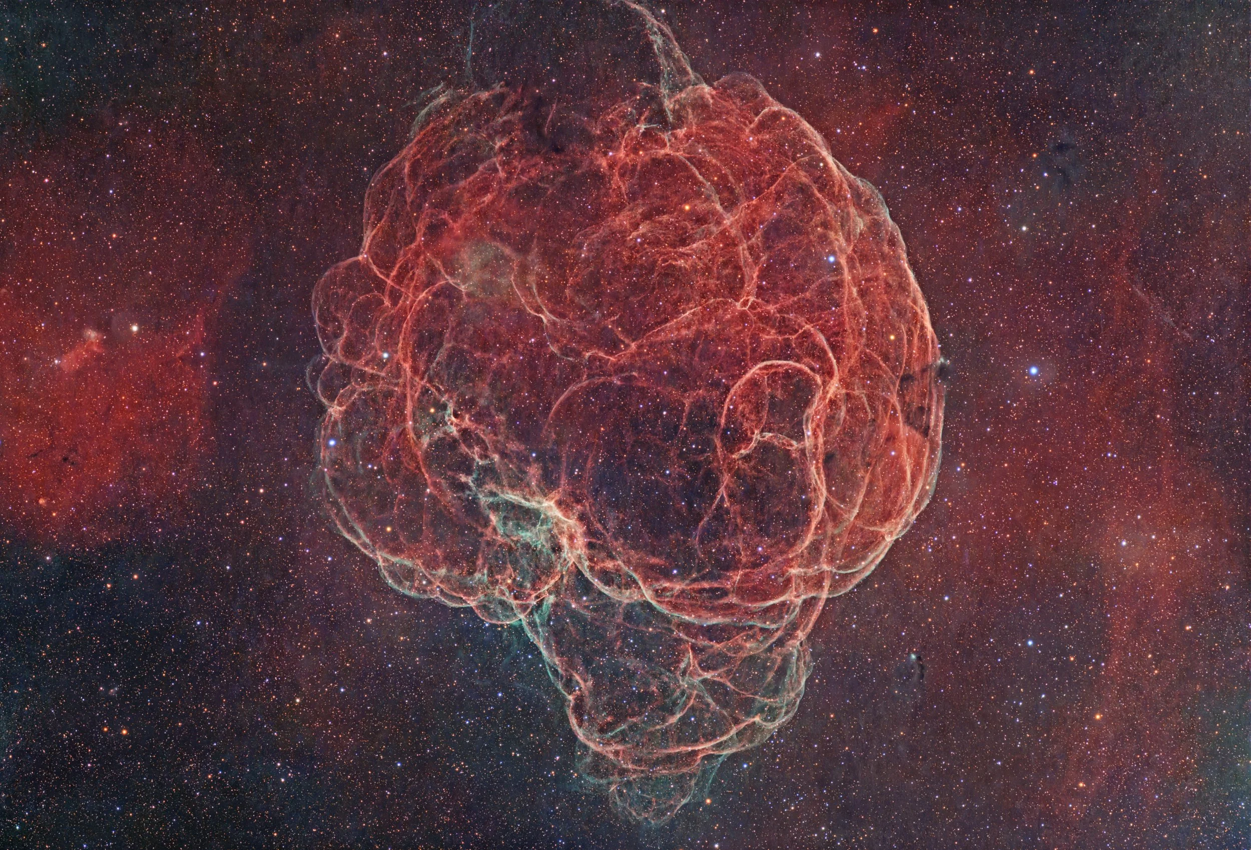 Simeis147_OSCHO_V1_CROP.jpg