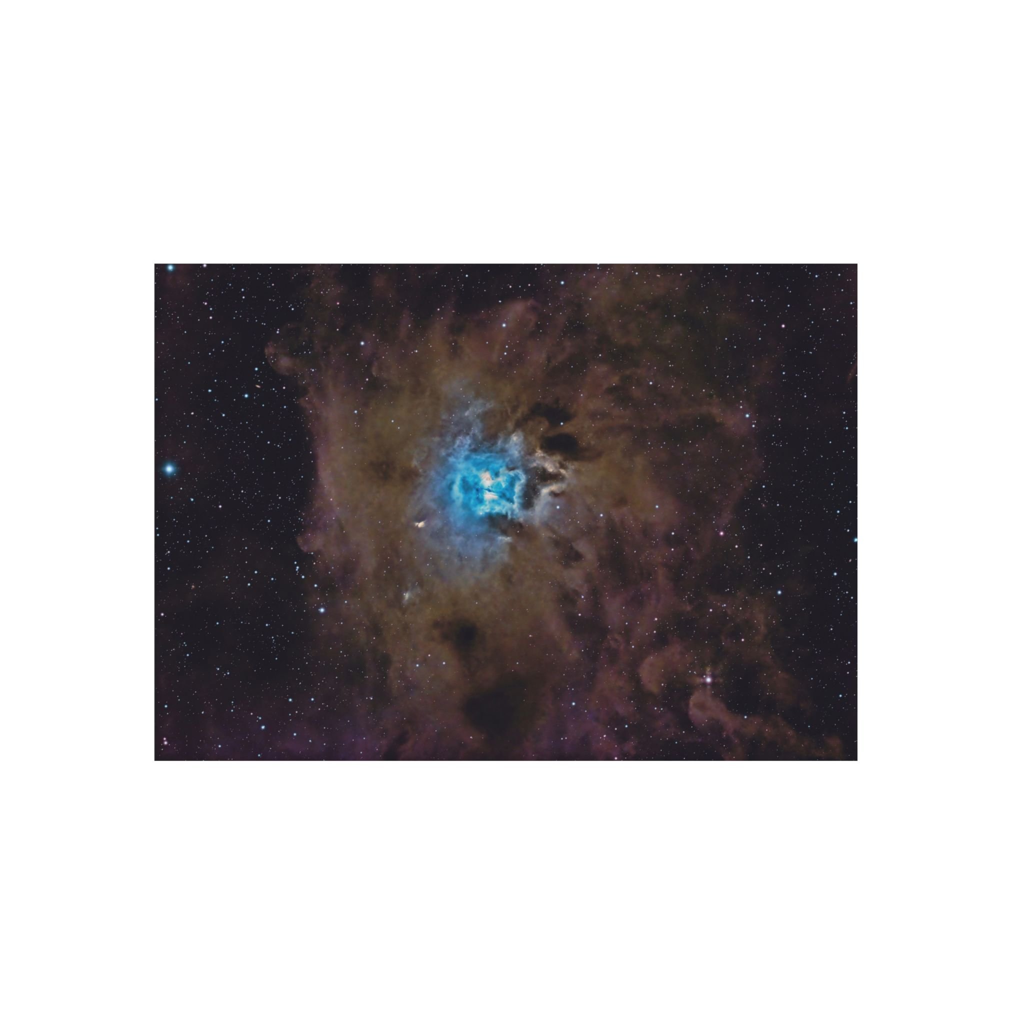 NGC 7023, La Nébuleuse de l'Iris
