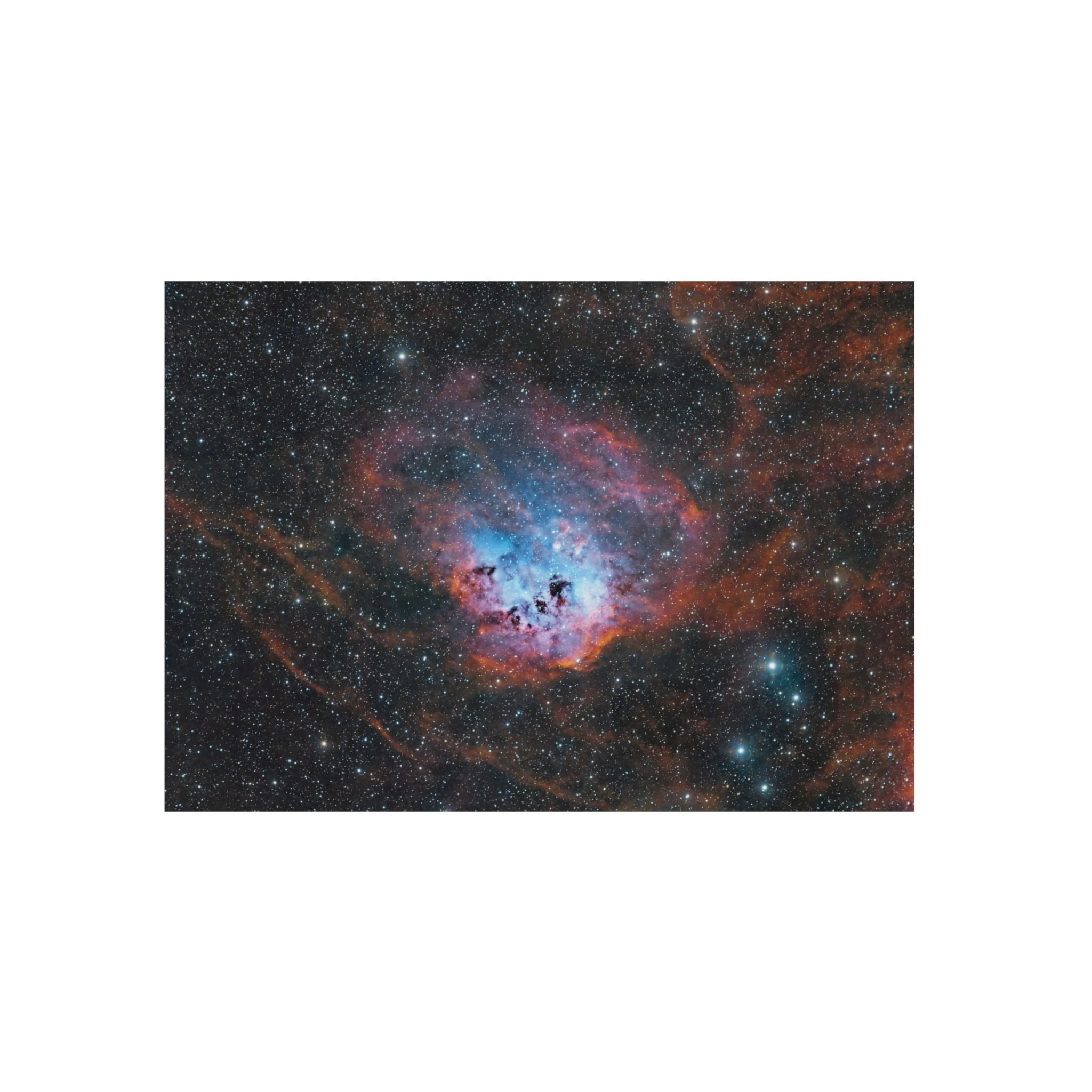 IC410, La Nébuleuse des Têtards (SHO)
