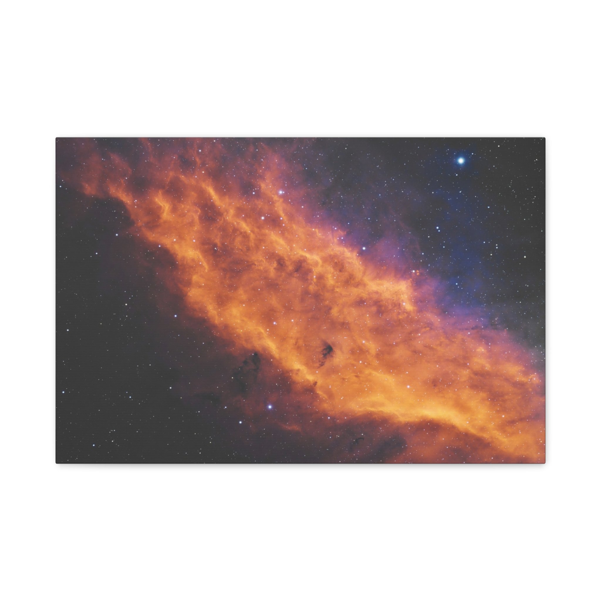 3c2119e2ba96e8cf574f9954d4aa7a18