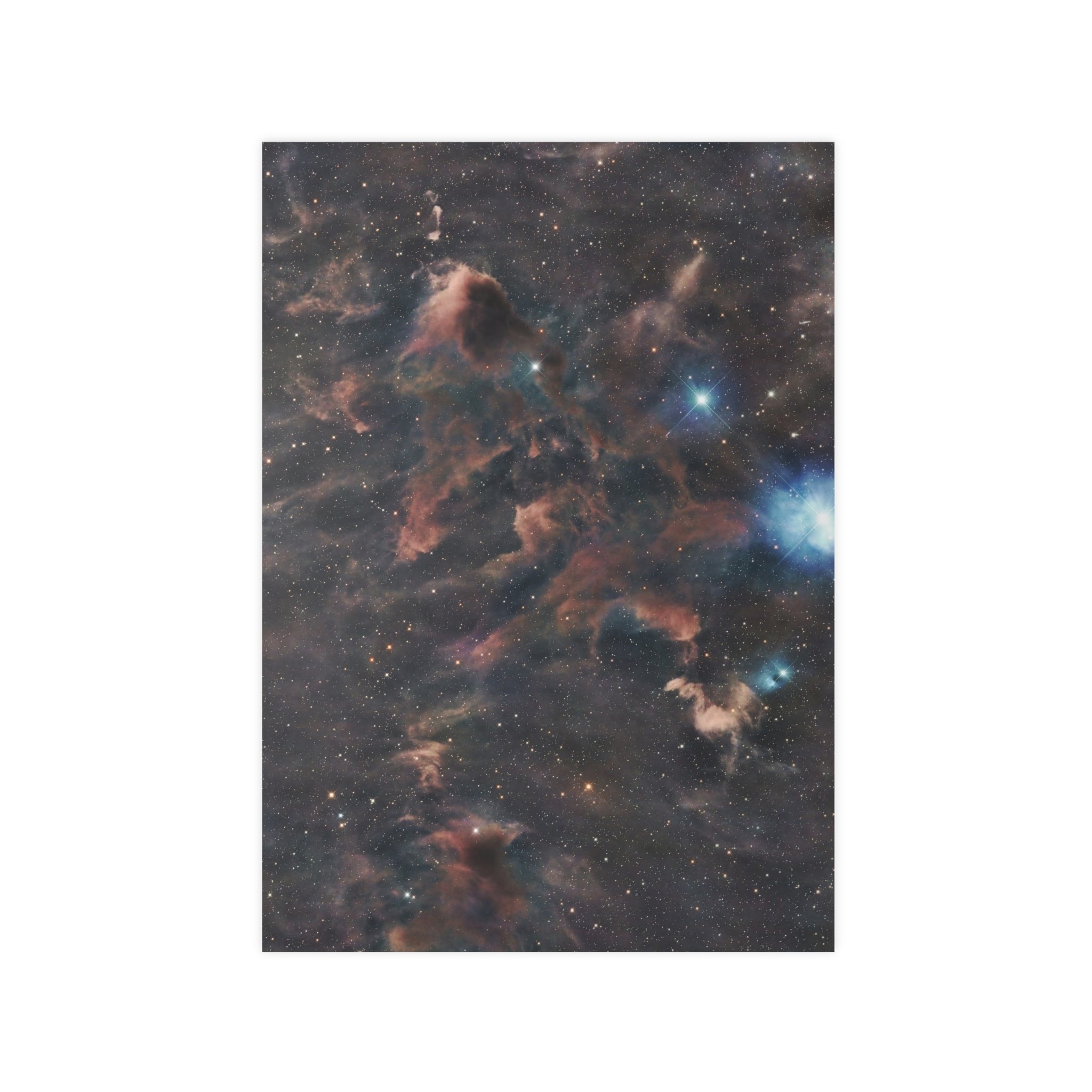 559bd663a90e41b80fd1c13c62e2cc7f