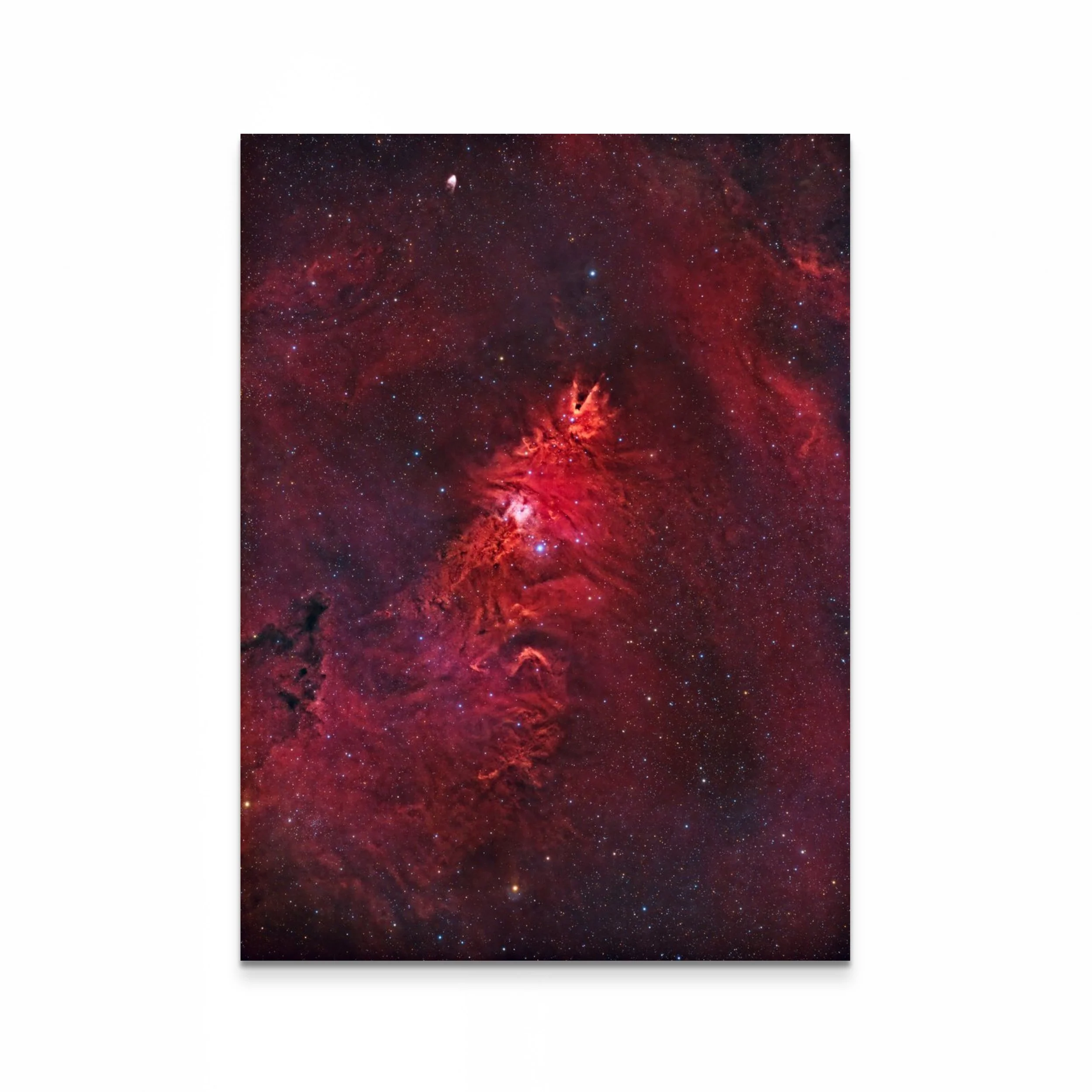 NGC2264, La Nébuleuse du Sapin de Noël (HaSIIOIII)