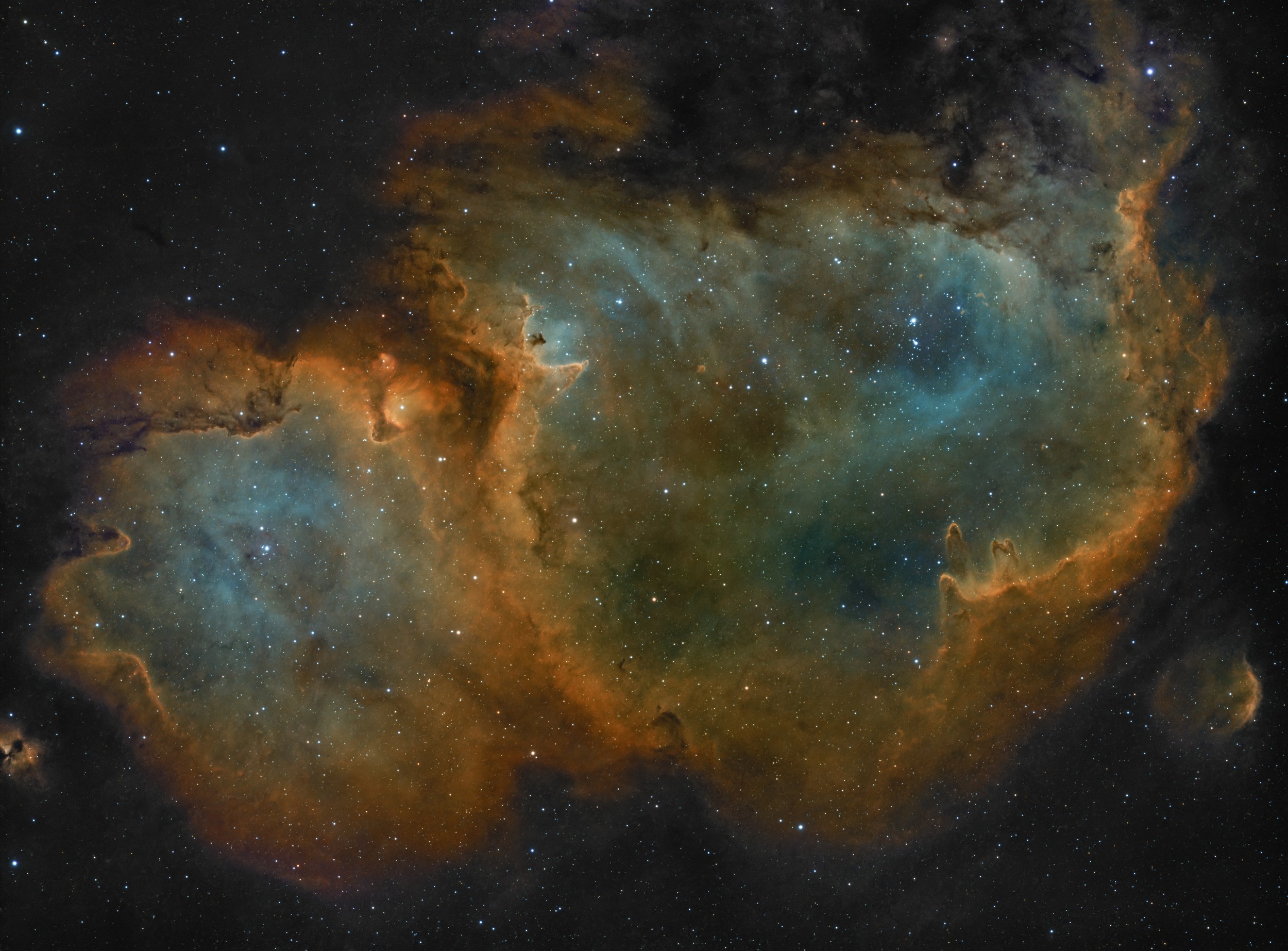 IC1848SHOV2.jpg