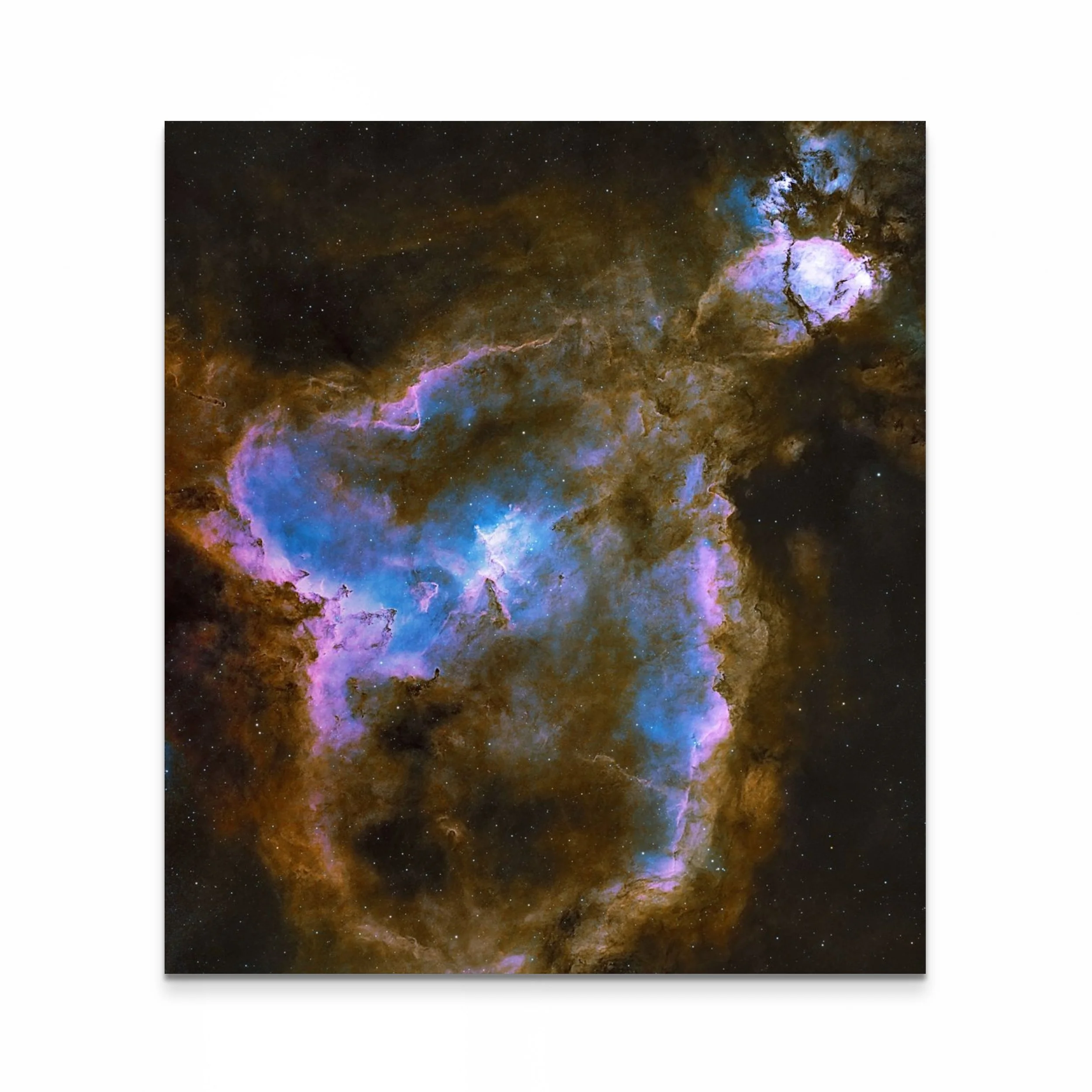 ic1805_sho_v3-full (2).jpg