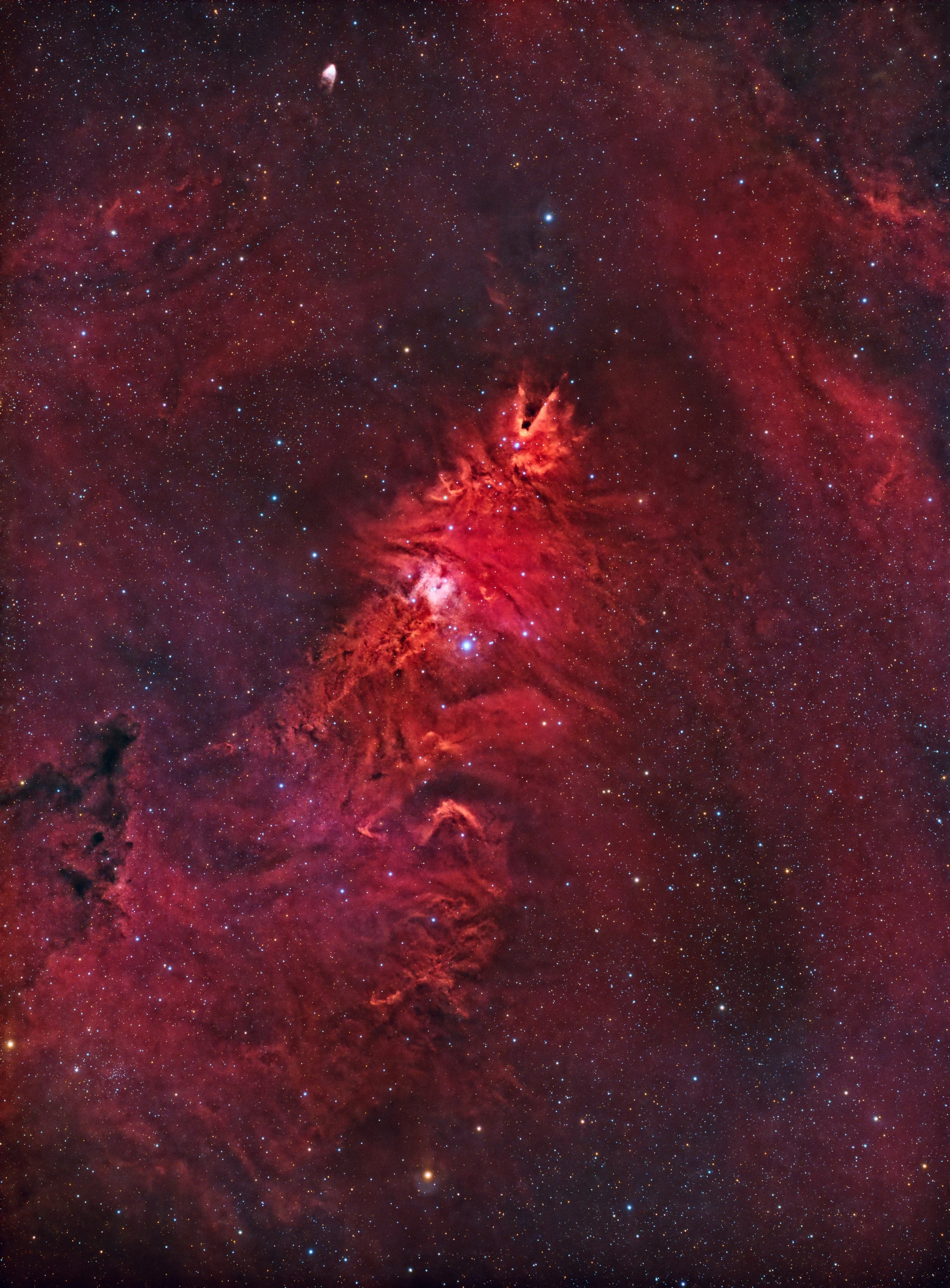 NGC2264SHO_V1.jpg