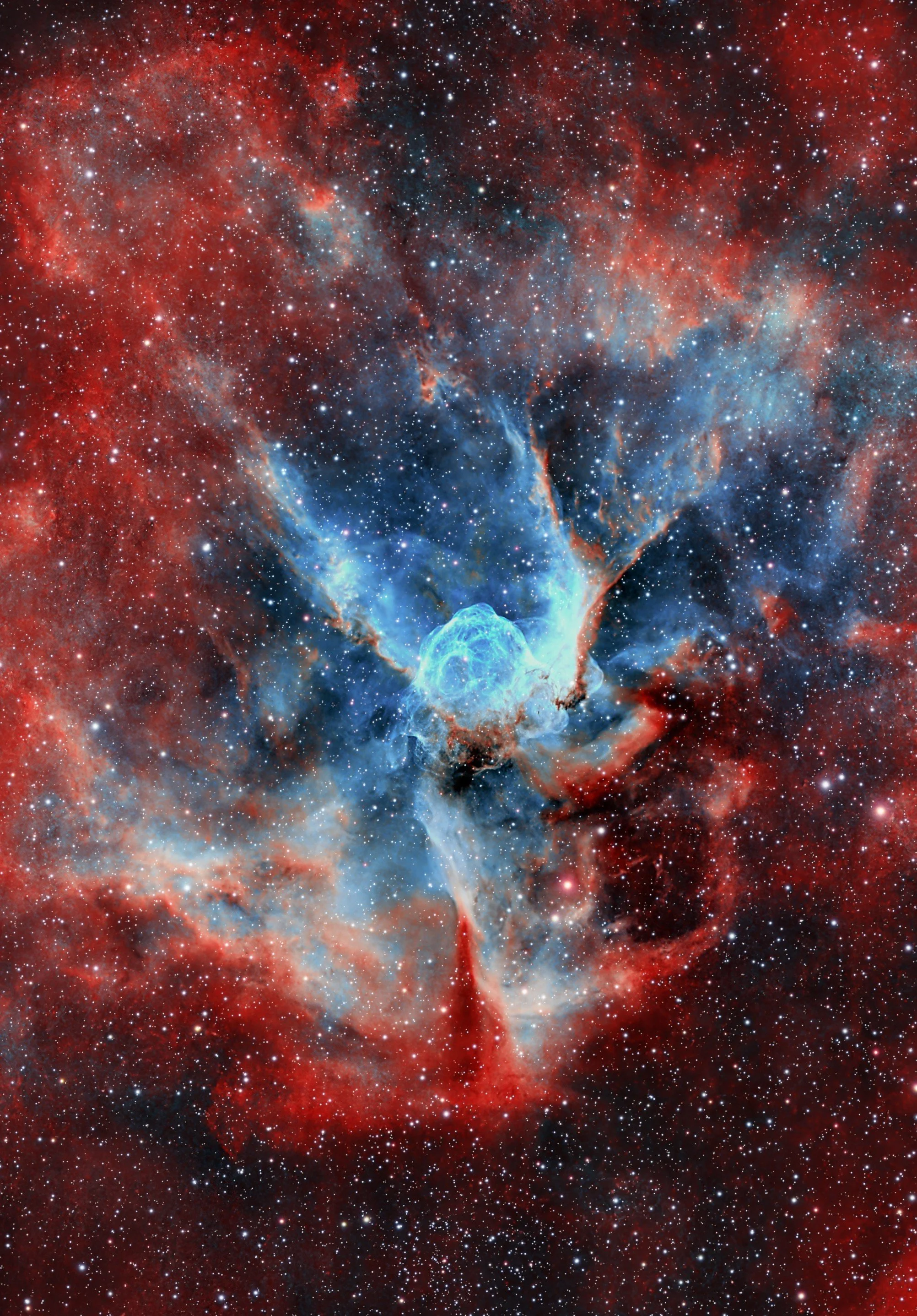 NGC2359_V1_CROP2.jpg