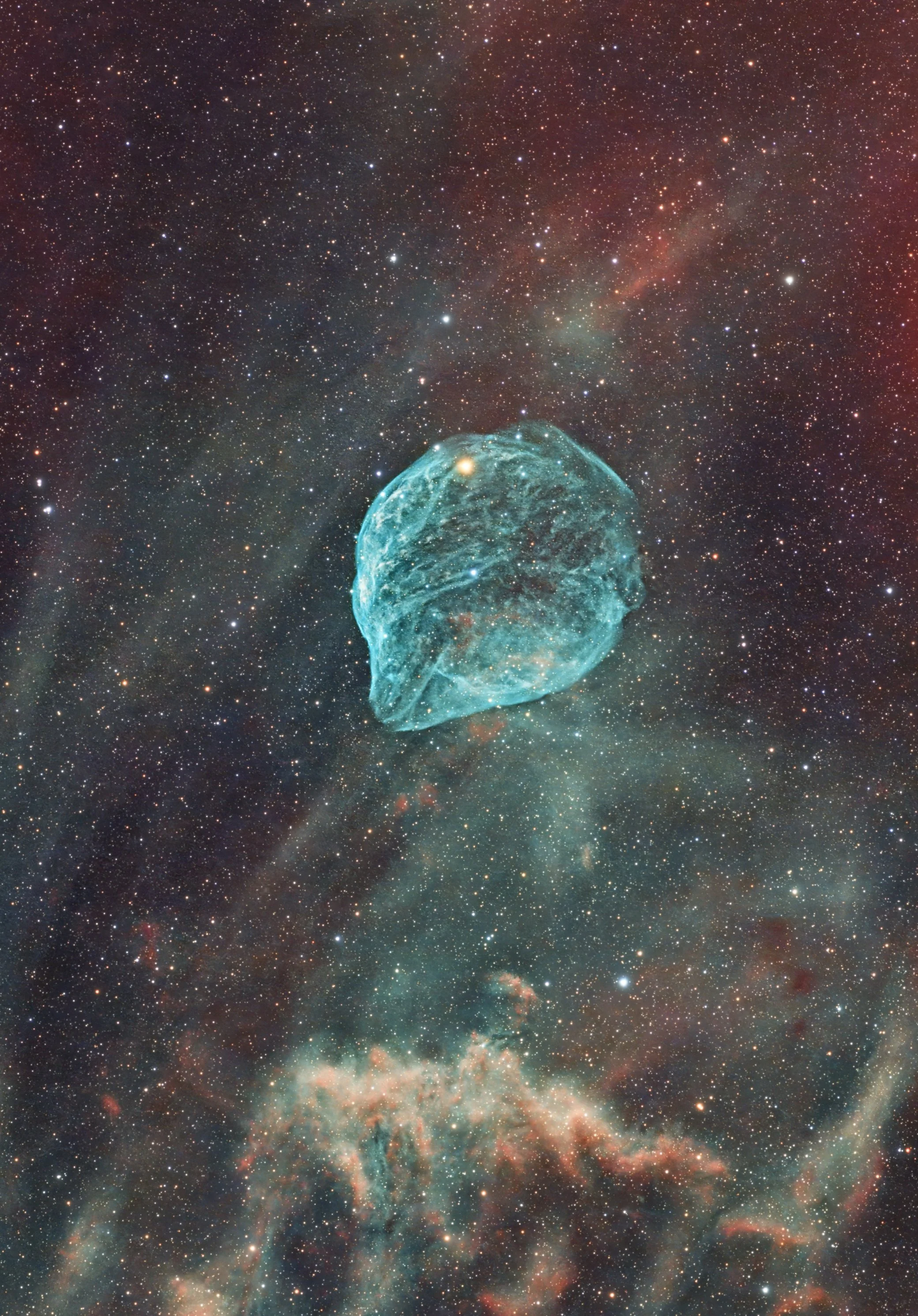 Sh2_308_OSCHO_V1_CROPTK.jpg