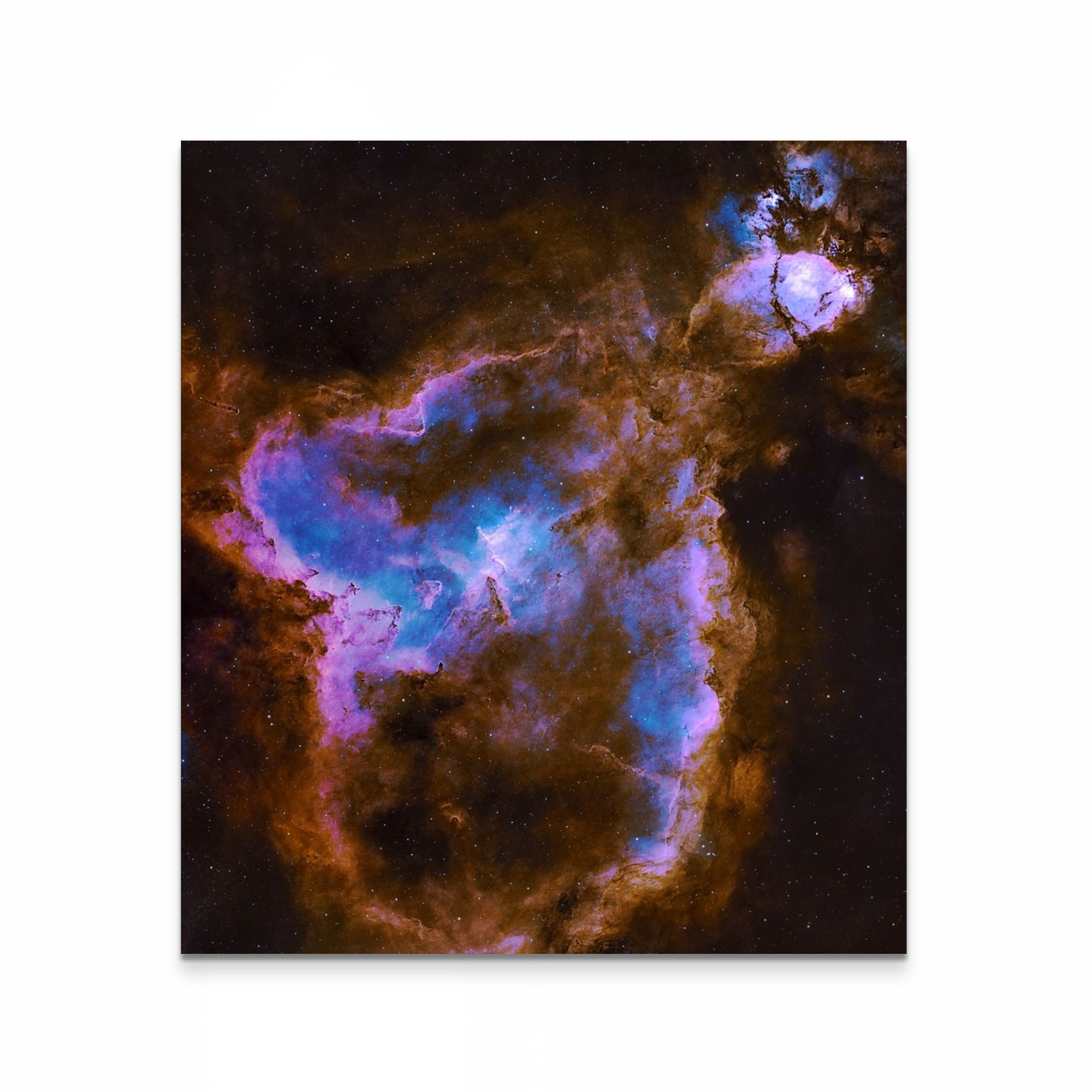 ic1805_sho_v3-full (1).jpg