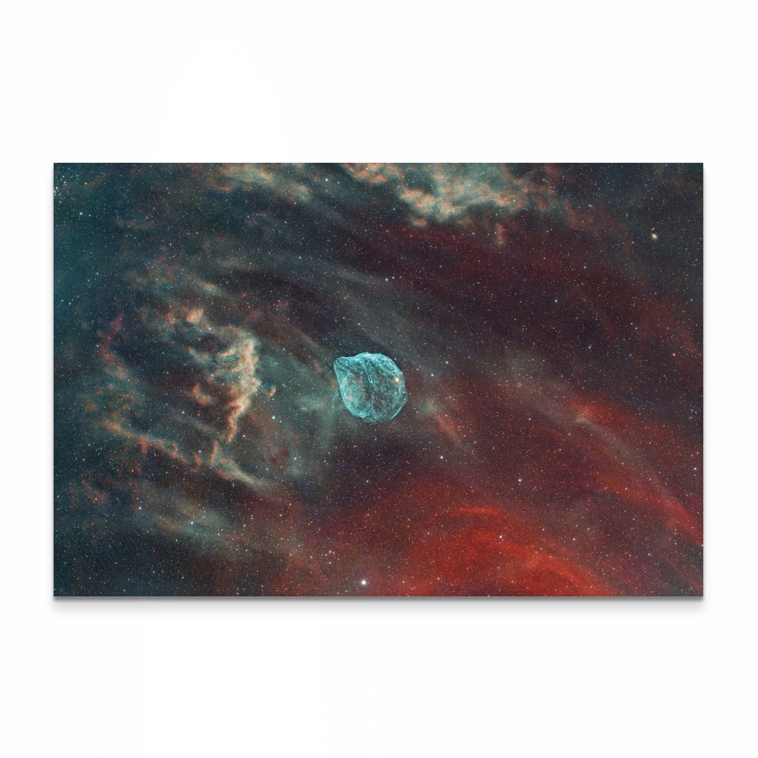 Sh2-308 (RVBHO) : La Nébuleuse de la Tête de Dauphin / Dolphin's Head Nebula