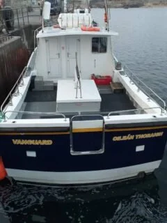 vanguard2-photo-240x320.jpg