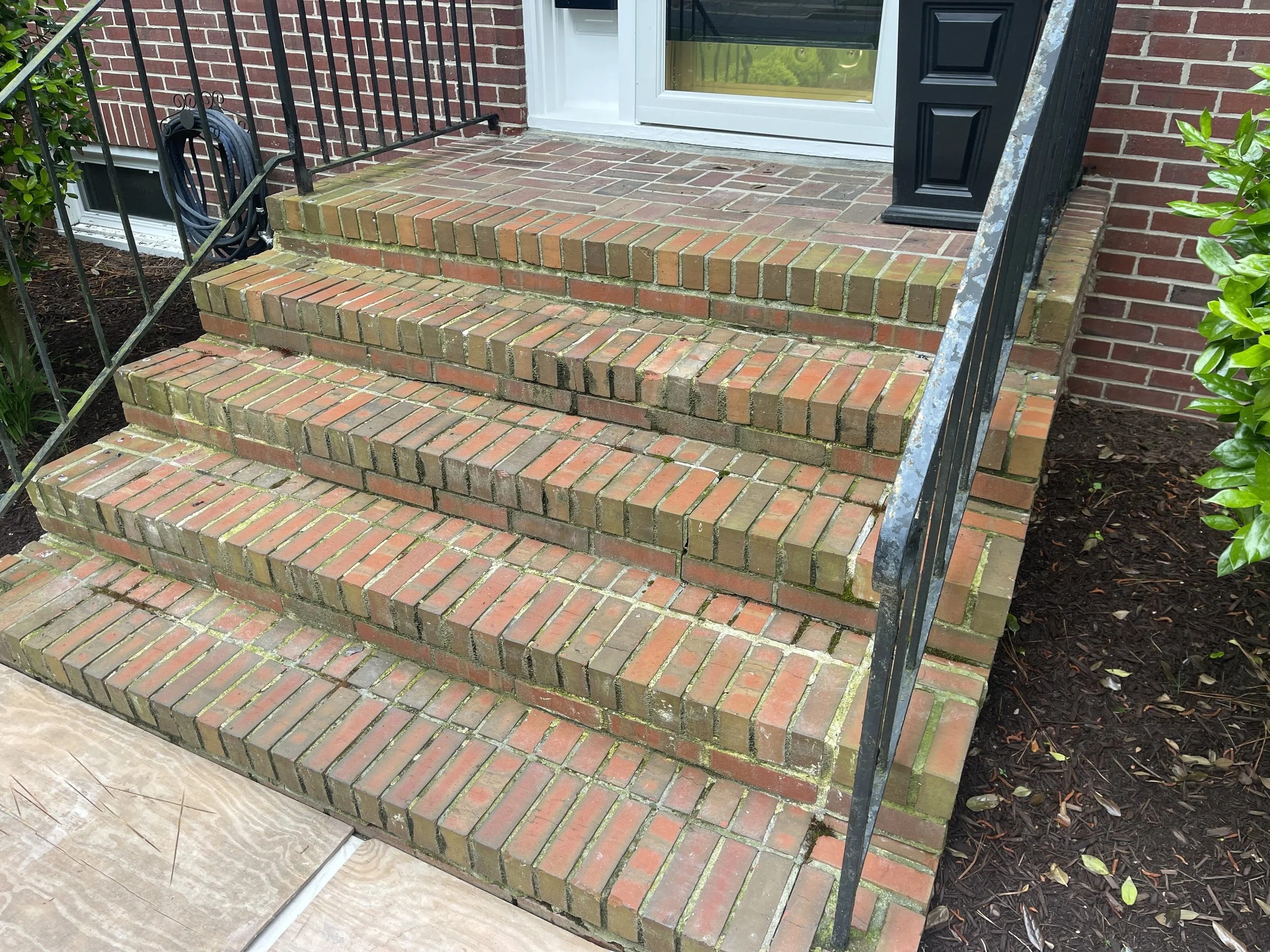 TONY TANK BEFORE IMG_3145.jpeg