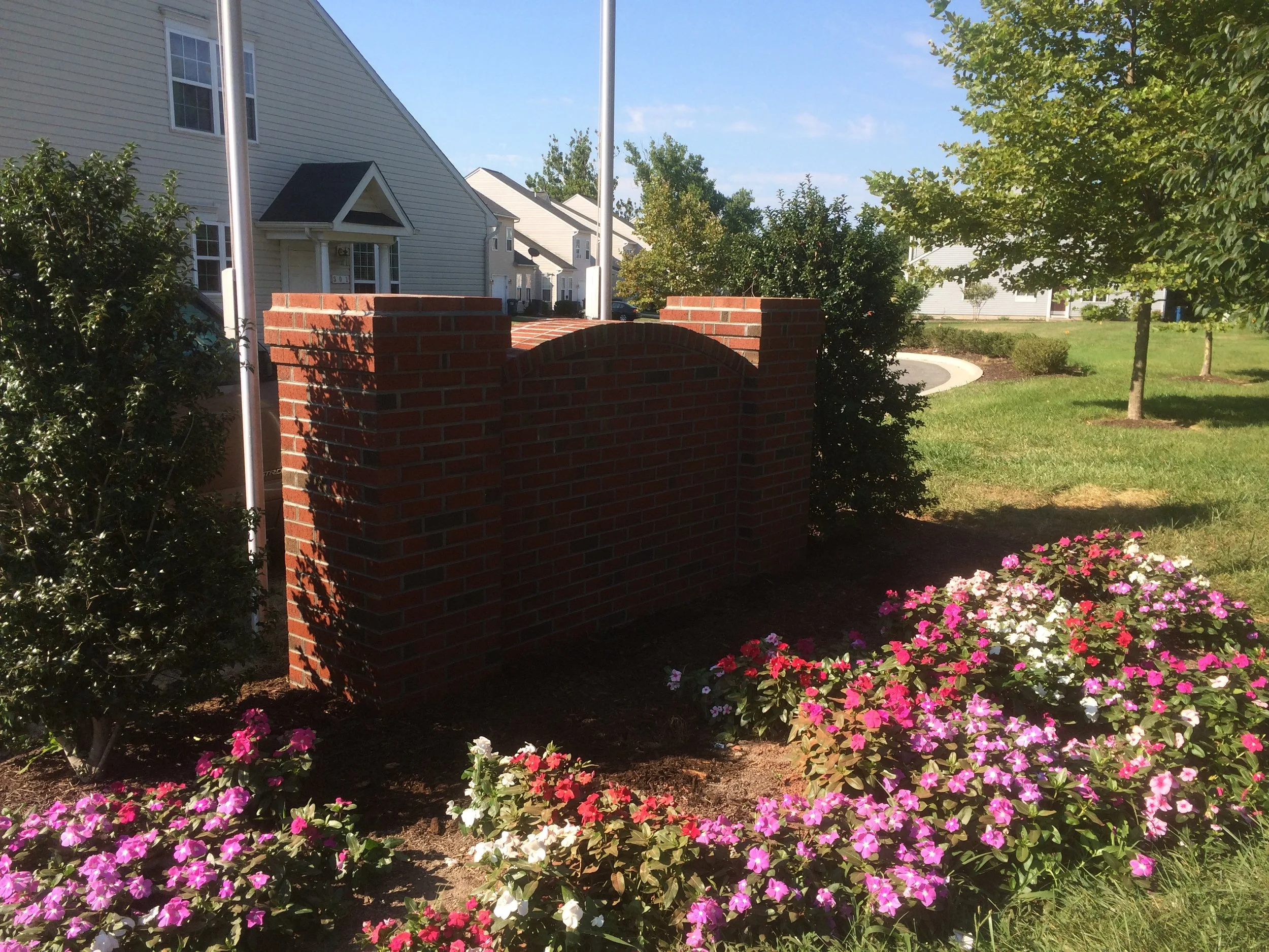 LONG NECK IMG_0340.JPG