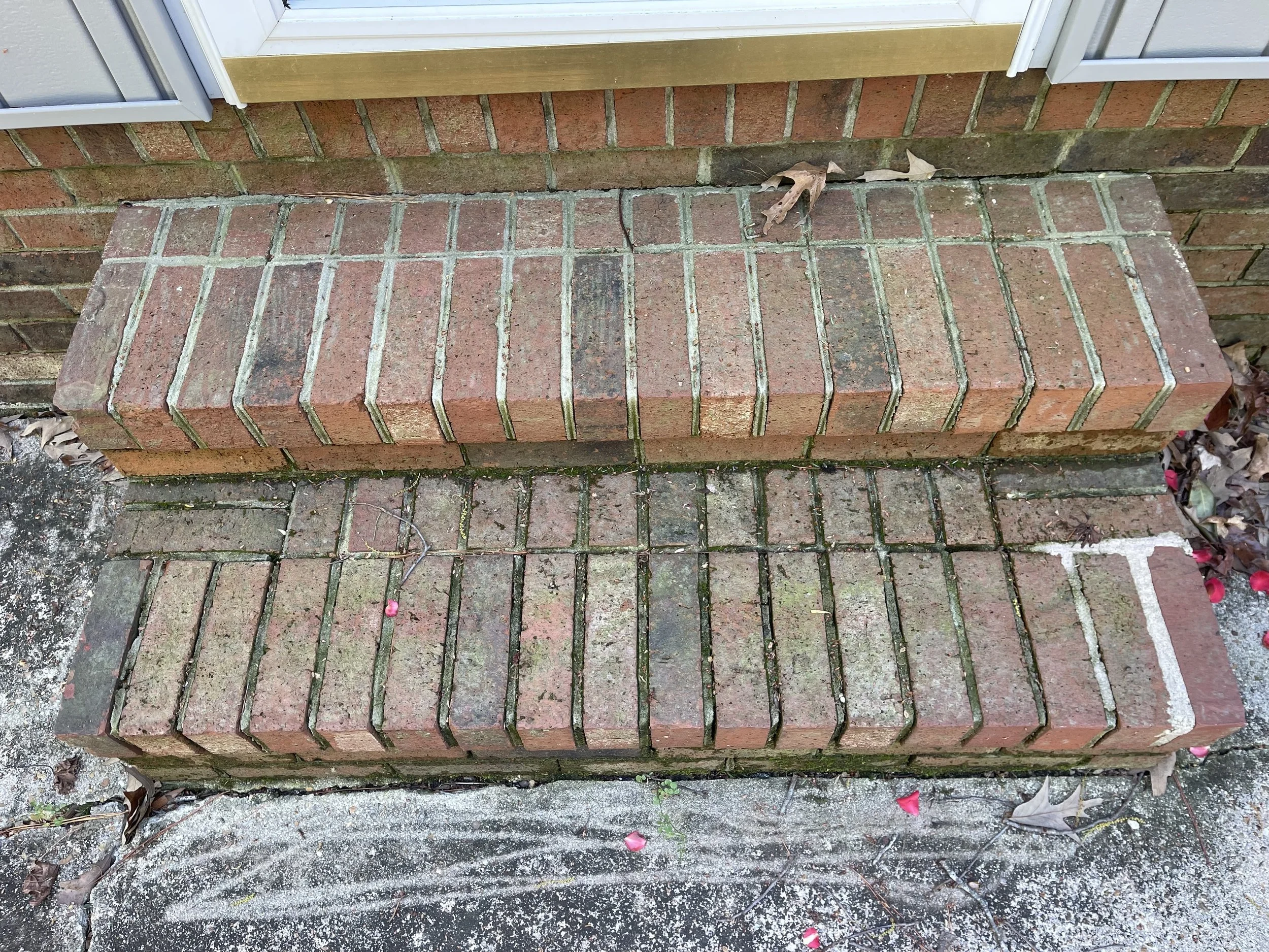 DIX BEFORE IMG_5082.jpeg