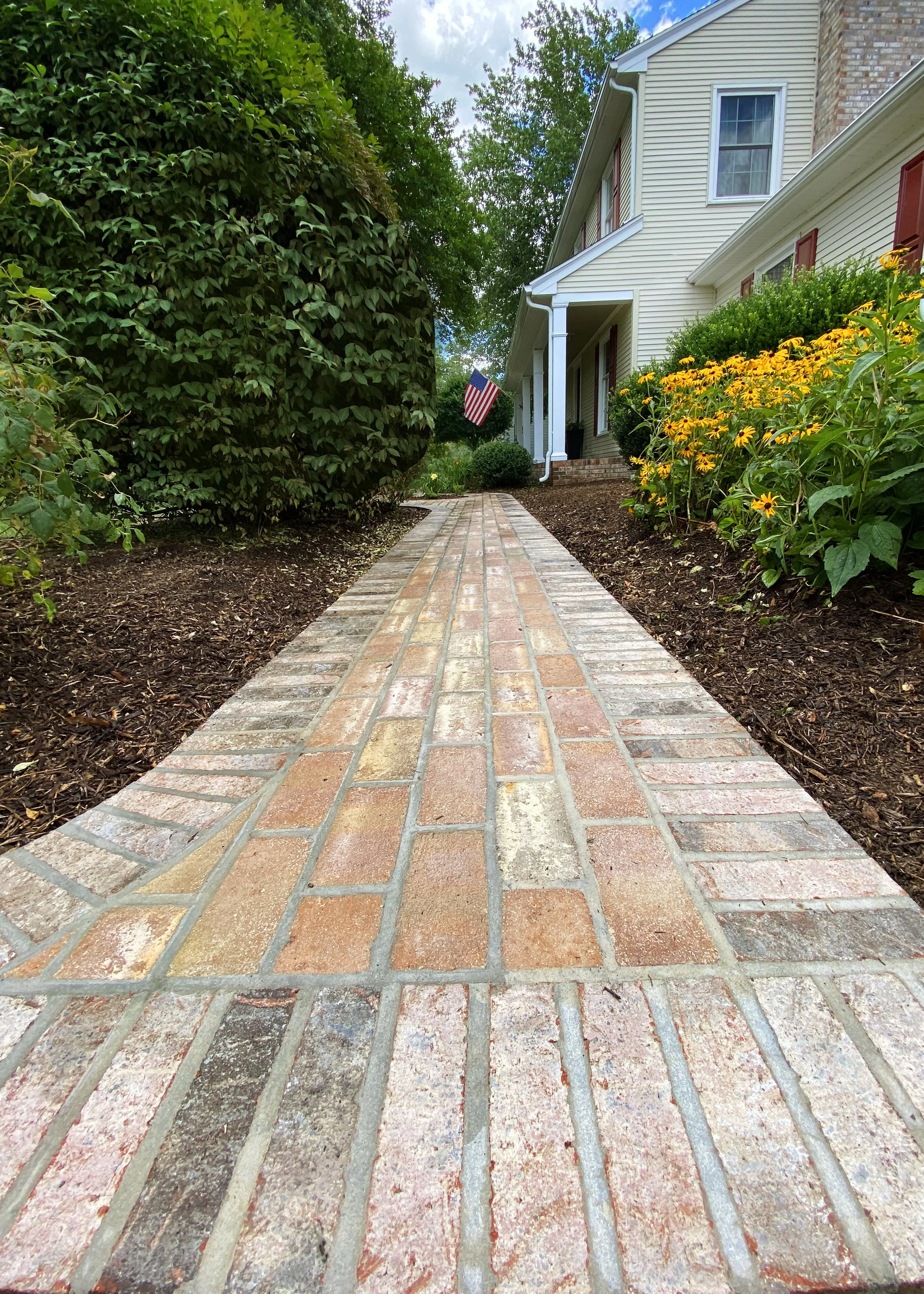 SIMMS SIDEWALK1 copy.jpg