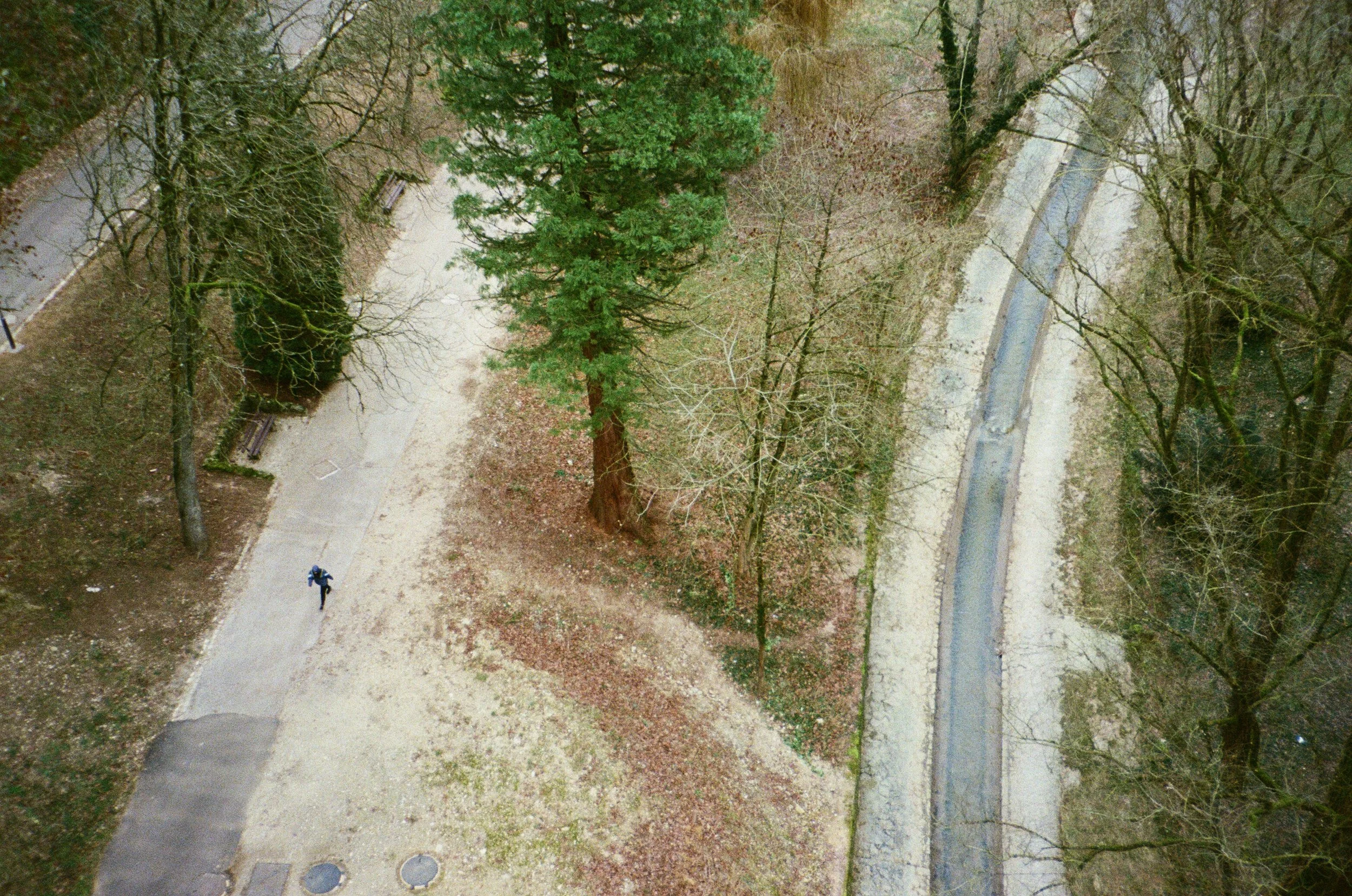 269043110034.JPG