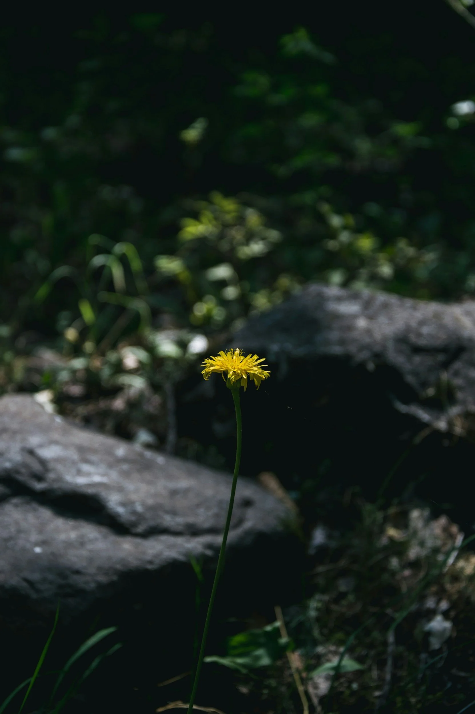 Get Out of the House and Touch Grass: Why Fresh Air Still Matters