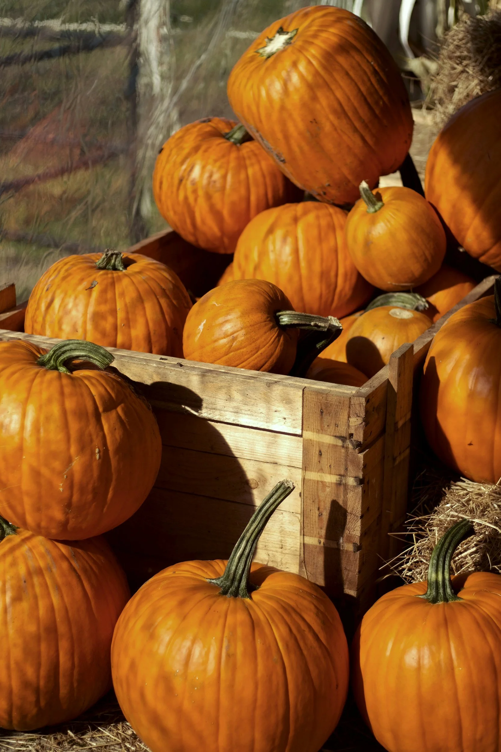 What I’m Letting Be Messy This Season (On Purpose)