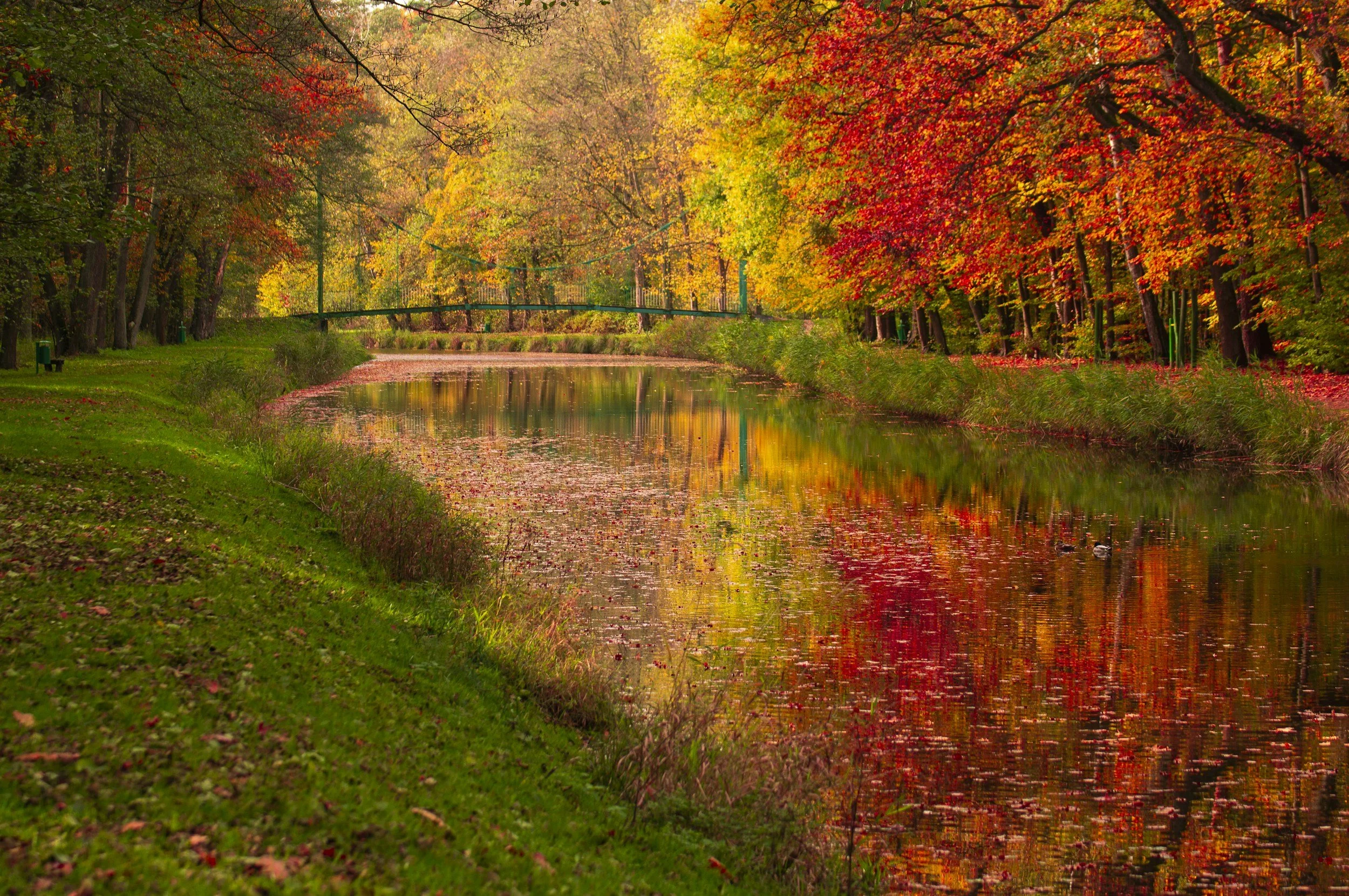 October, I See What You Did There