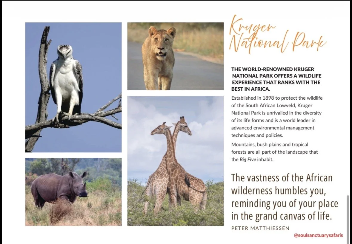 A collage of wildlife photos from Kruger National Park, including a white bird, a lioness, a hippopotamus, and two giraffes, with text about the park's history and wildlife.