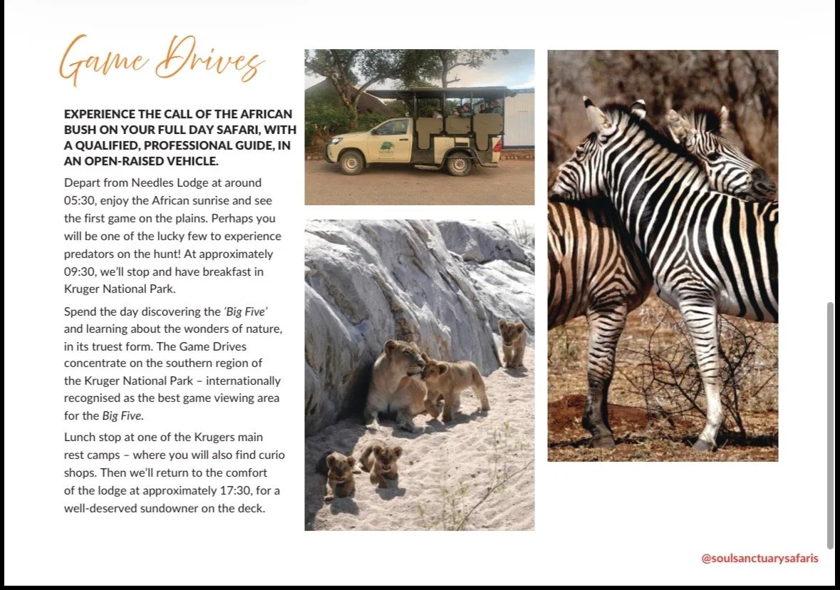 A flyer for game drives featuring a safari vehicle, zebras, and lions with a text description of a full day safari experience in Kruger National Park.