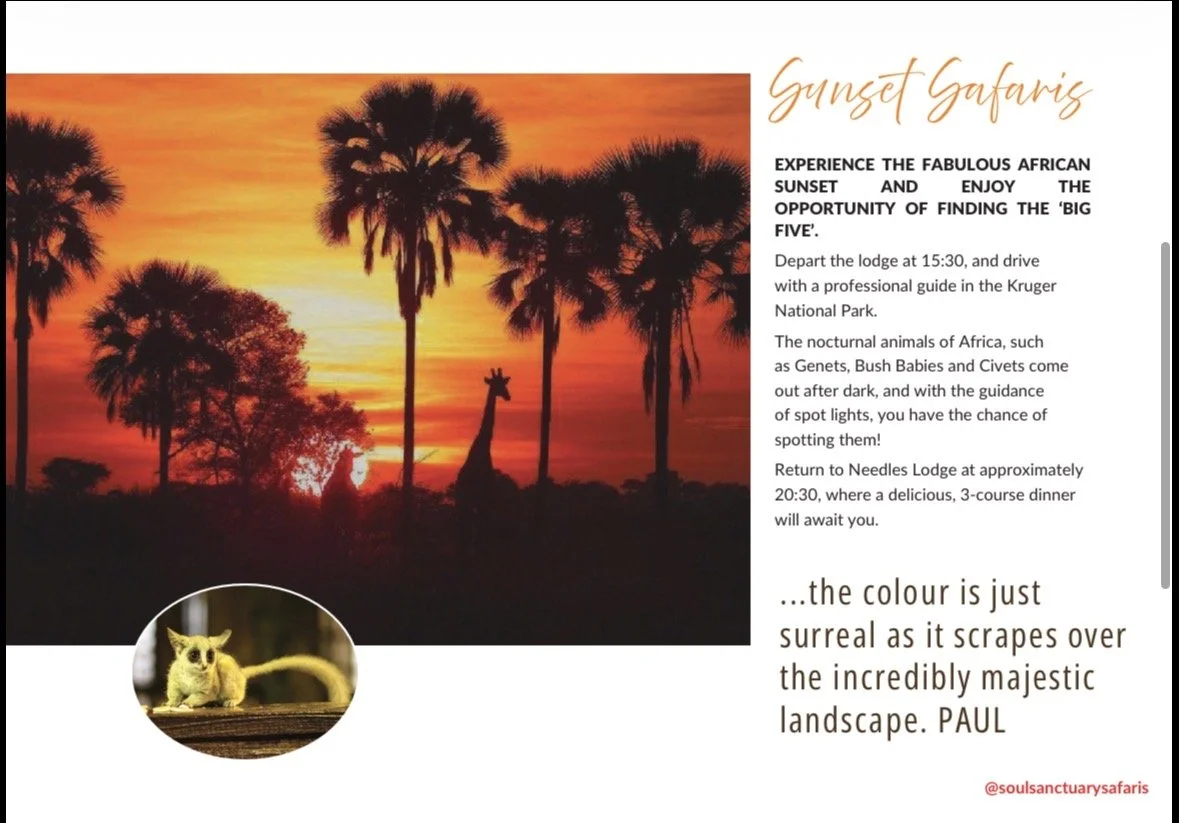 A promotional flyer for a safari experience featuring a sunset with silhouetted trees and a giraffe. The flyer includes a description of the safari adventure in Africa, a picture of a small yellow animal, and a quote about the landscape's colors.